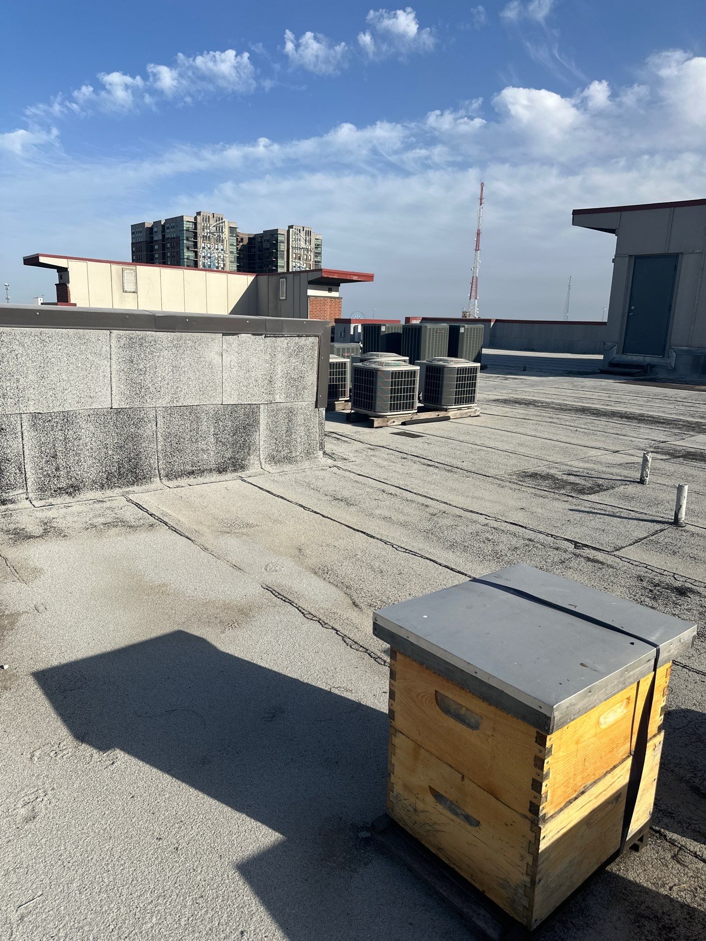 Downtown Apartment Rooftop  by Rockwall Honey Bee Company