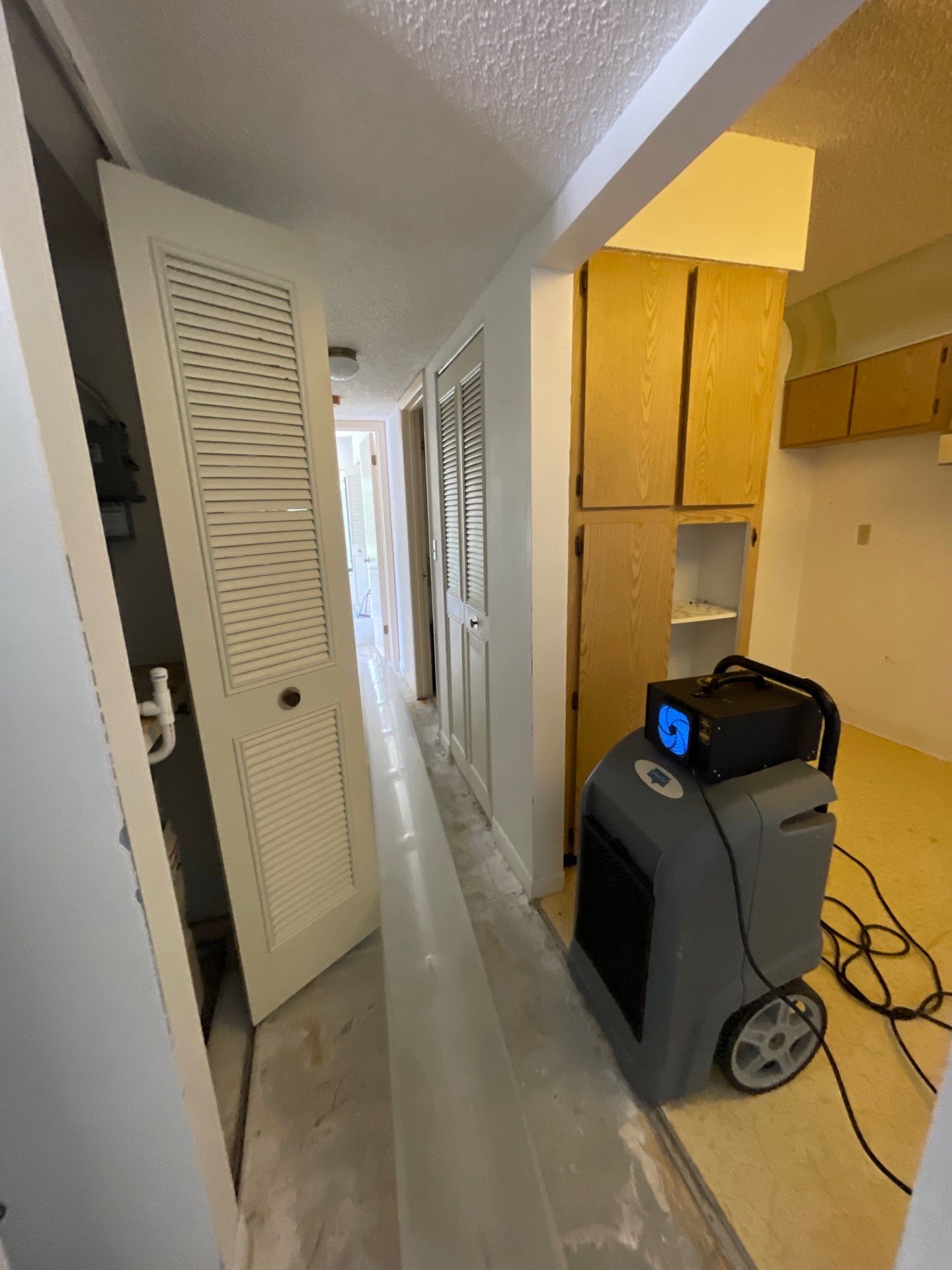 Horder house with Mold and Bacterial Contamination Issues  by Bay Coast Restoration 