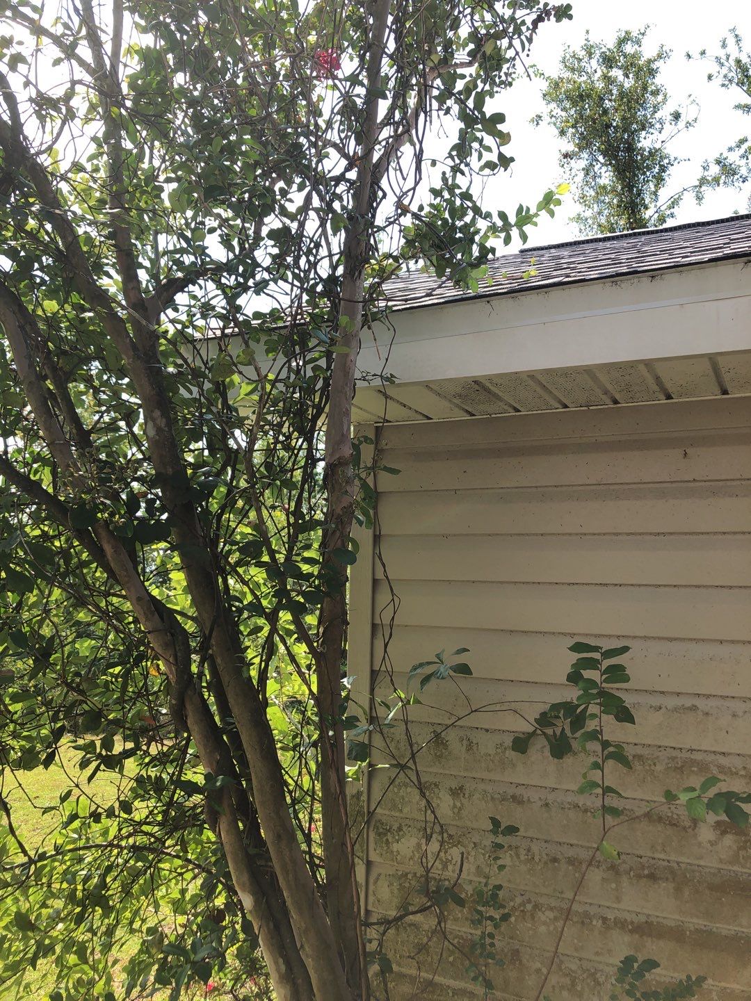 Residential Soffit and Fascia Roof Repair by Gutter Professors