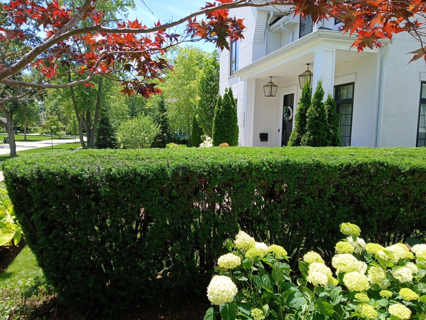 Lisa C. - Arlington Heights, IL by A&N