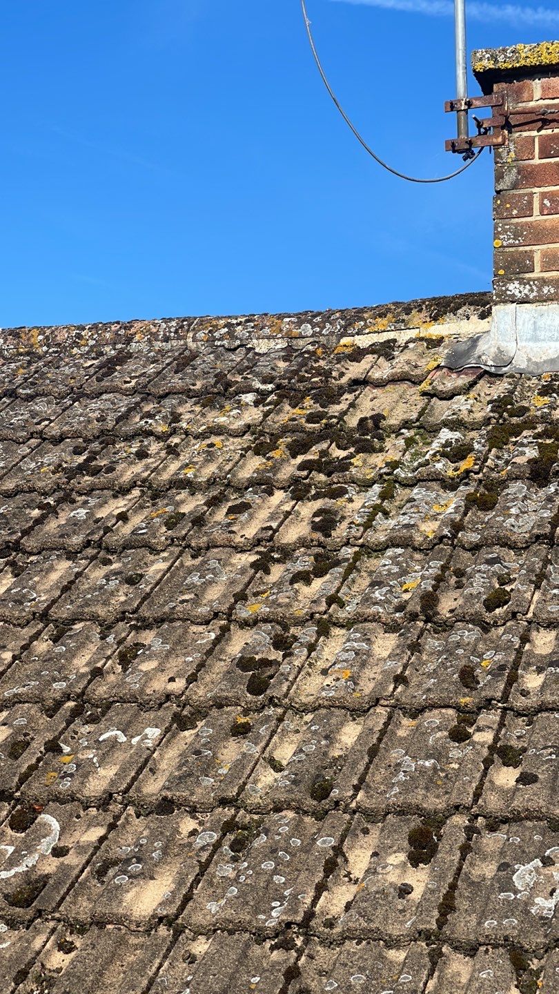 Roof Clean - Biocide Treatment using Honda 15lpm Low Pressure Washing Machine by Ges Exterior Cleaning ltd