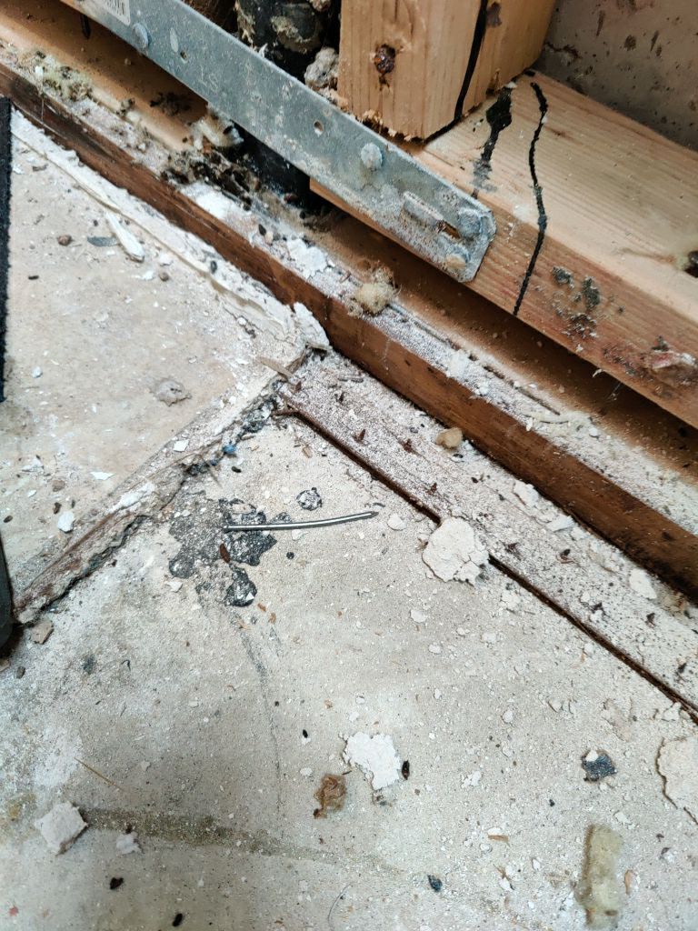 Mold Remediation by Accountable Home Services