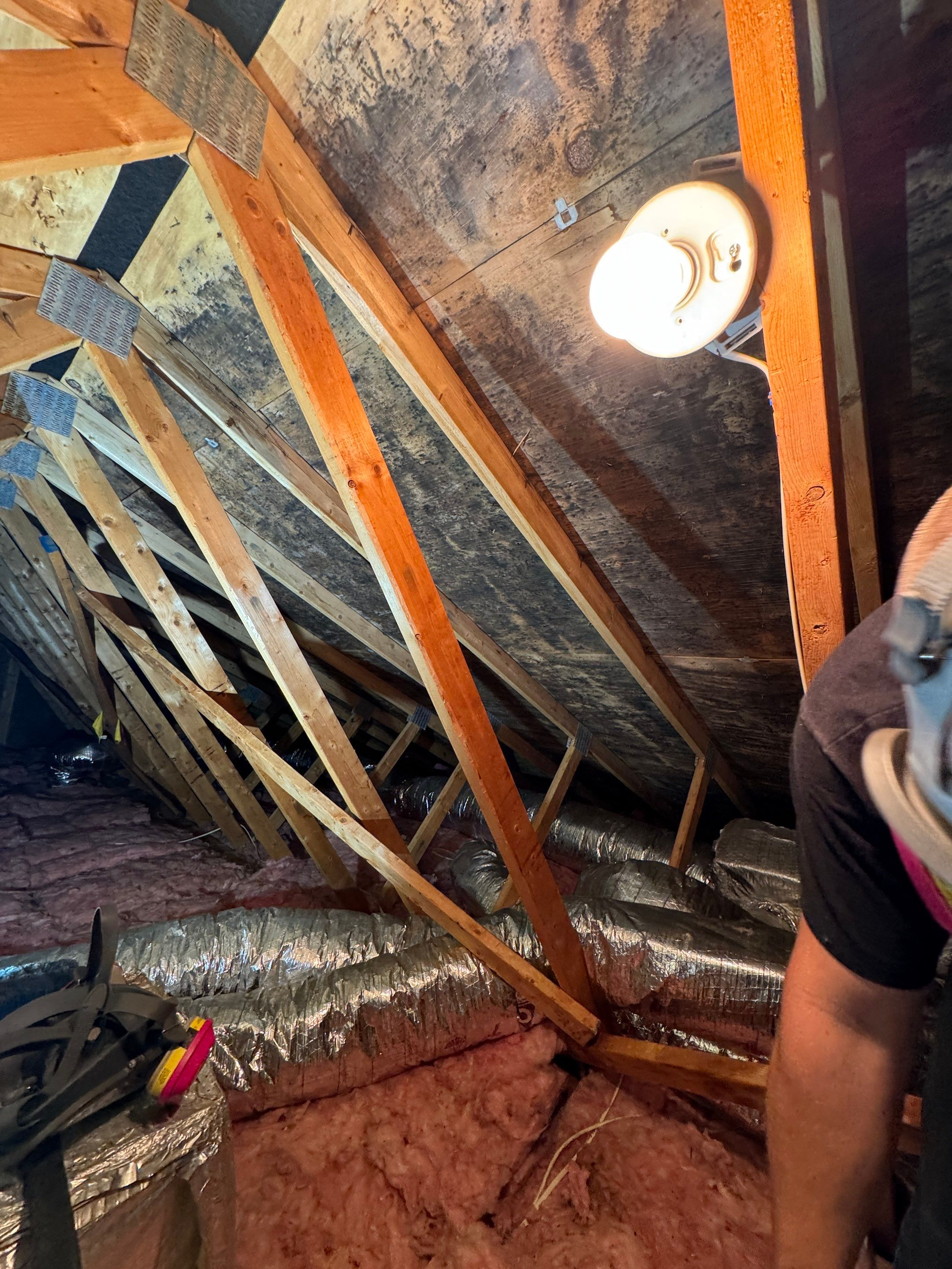 Attic Mold Remediation by Home Guarantee, LLC