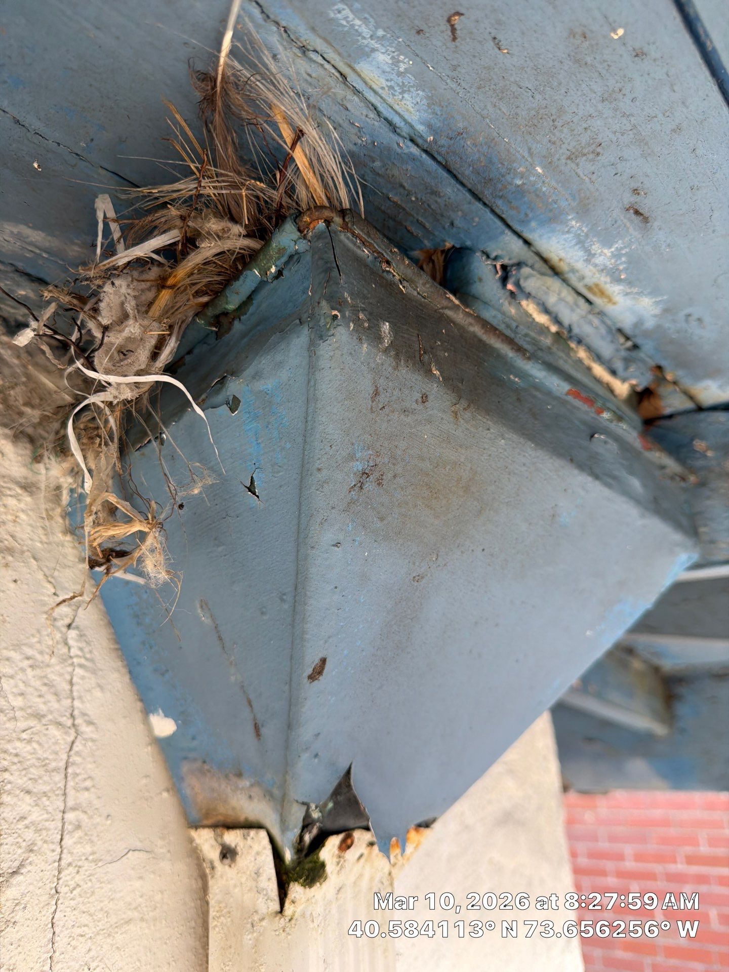  Long Beach Leak Fix: Scupper Boxes Replaced 💧✅ by Above All Gutters 