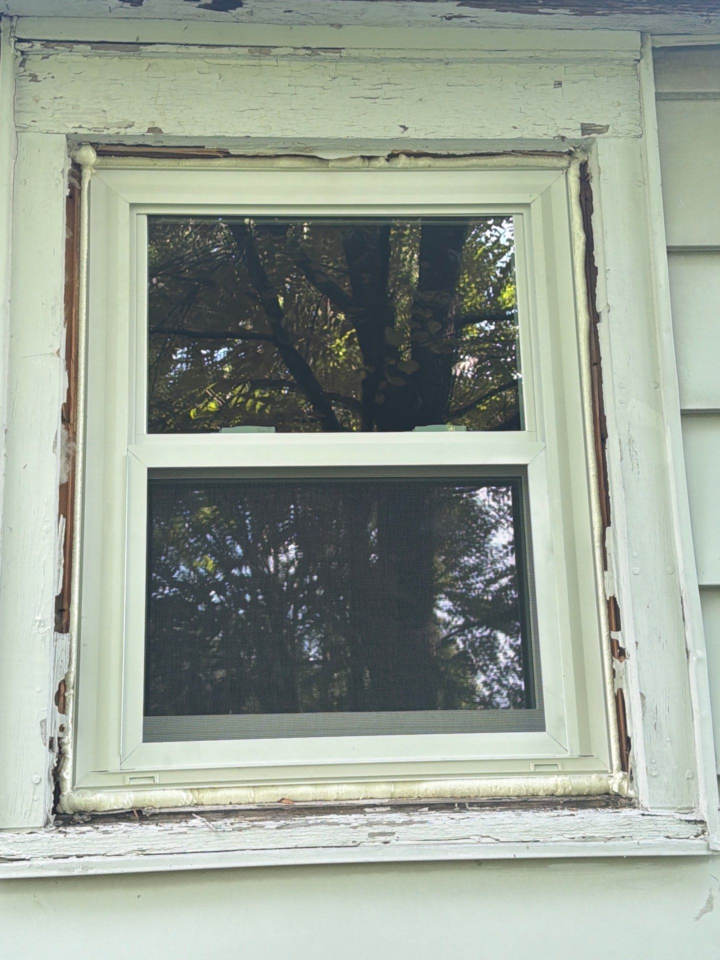 6 Replacement Windows Fort Wayne - 46809 by Window World Of Fort Wayne