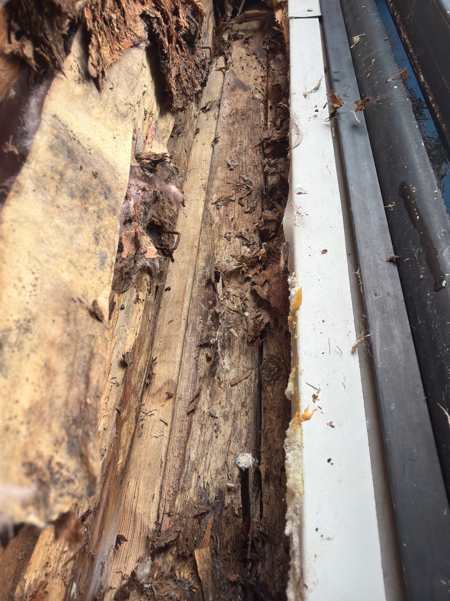Siding Replacement using Wood Grain by 180 Contractors