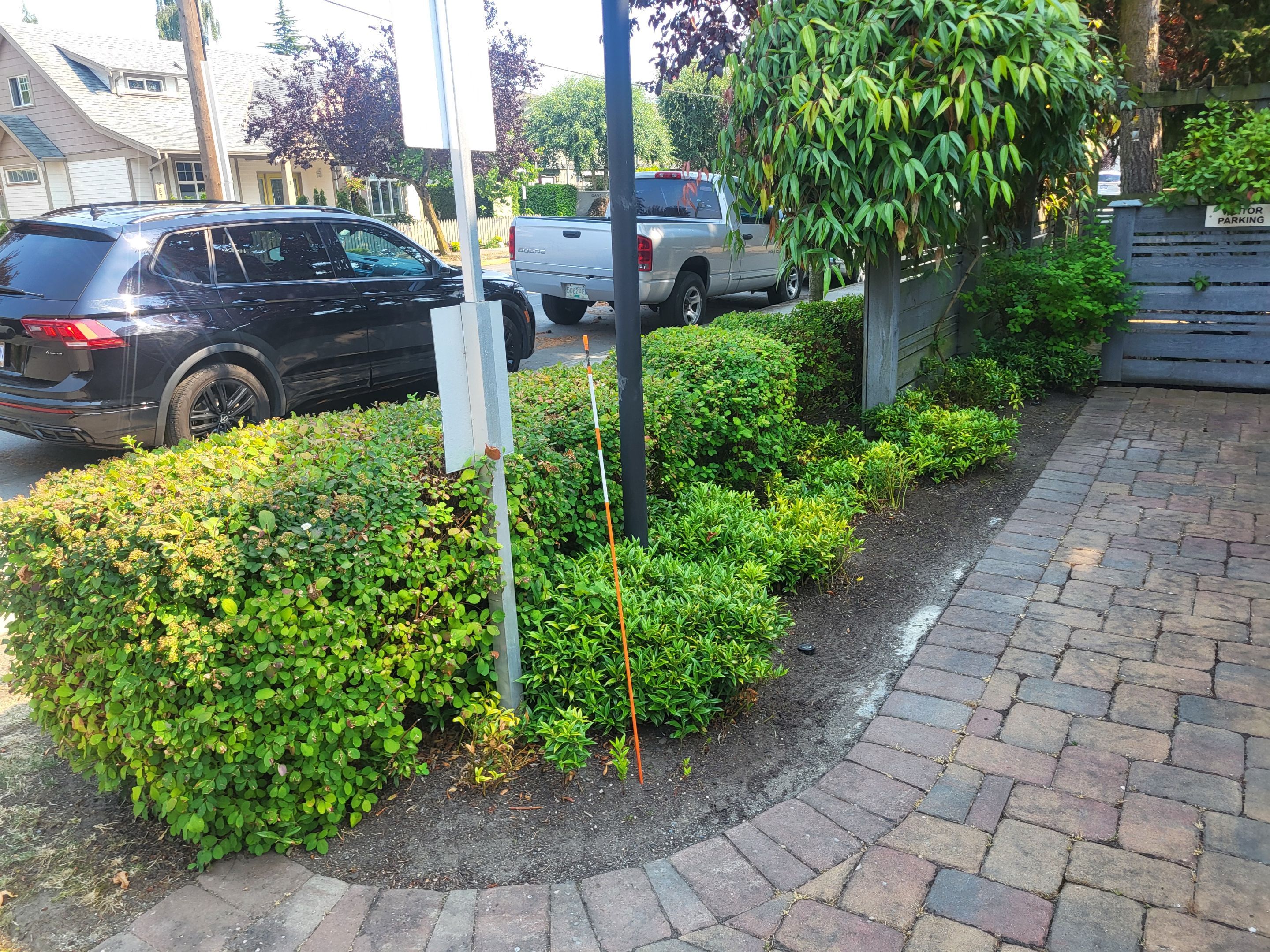 Sea Haven — Year-Round Strata Landscape Care by Habanero Landscape Solutions
