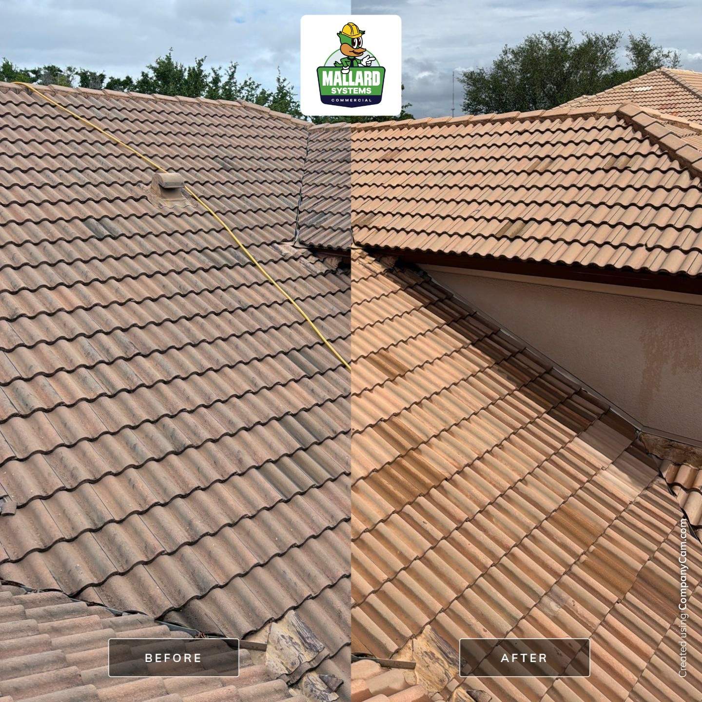 Tile Roof and Travertine Pool Deck Cleaning by Mallard Systems