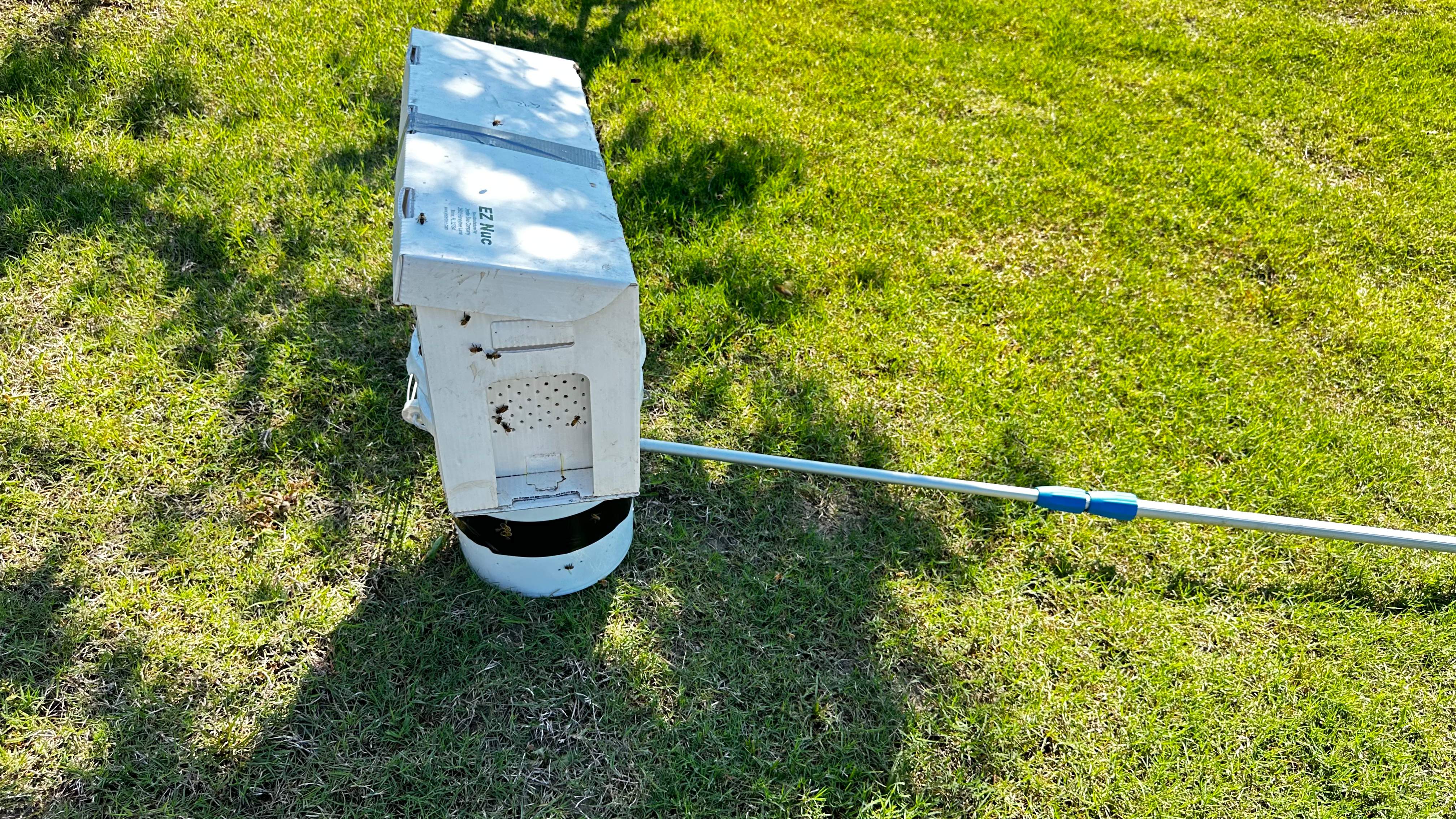 Swarm by Rockwall Honey Bee Company