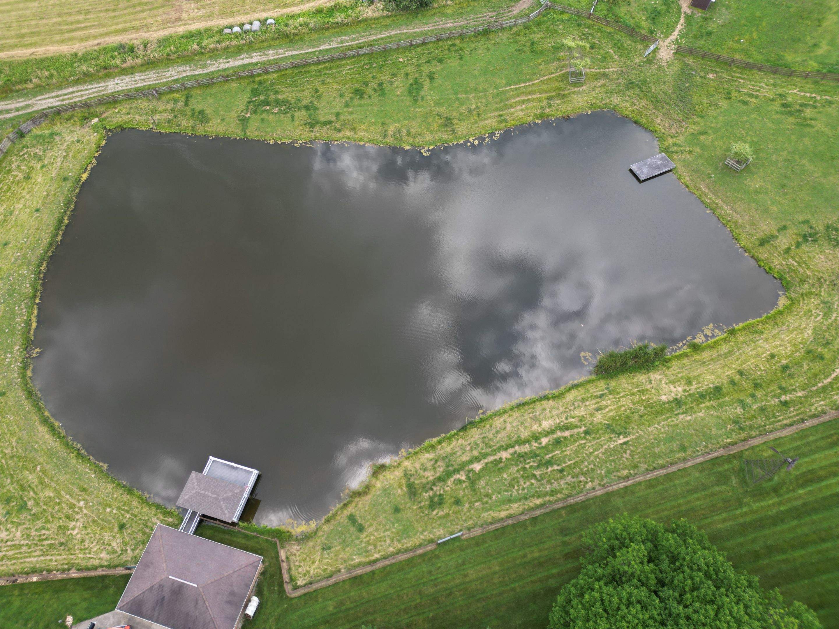Maas Project by  Bellus Aquatic Solutions
