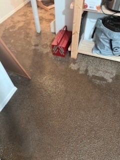 Project in Shelby Twp by EzDry Water Mitigation & Property Restoration