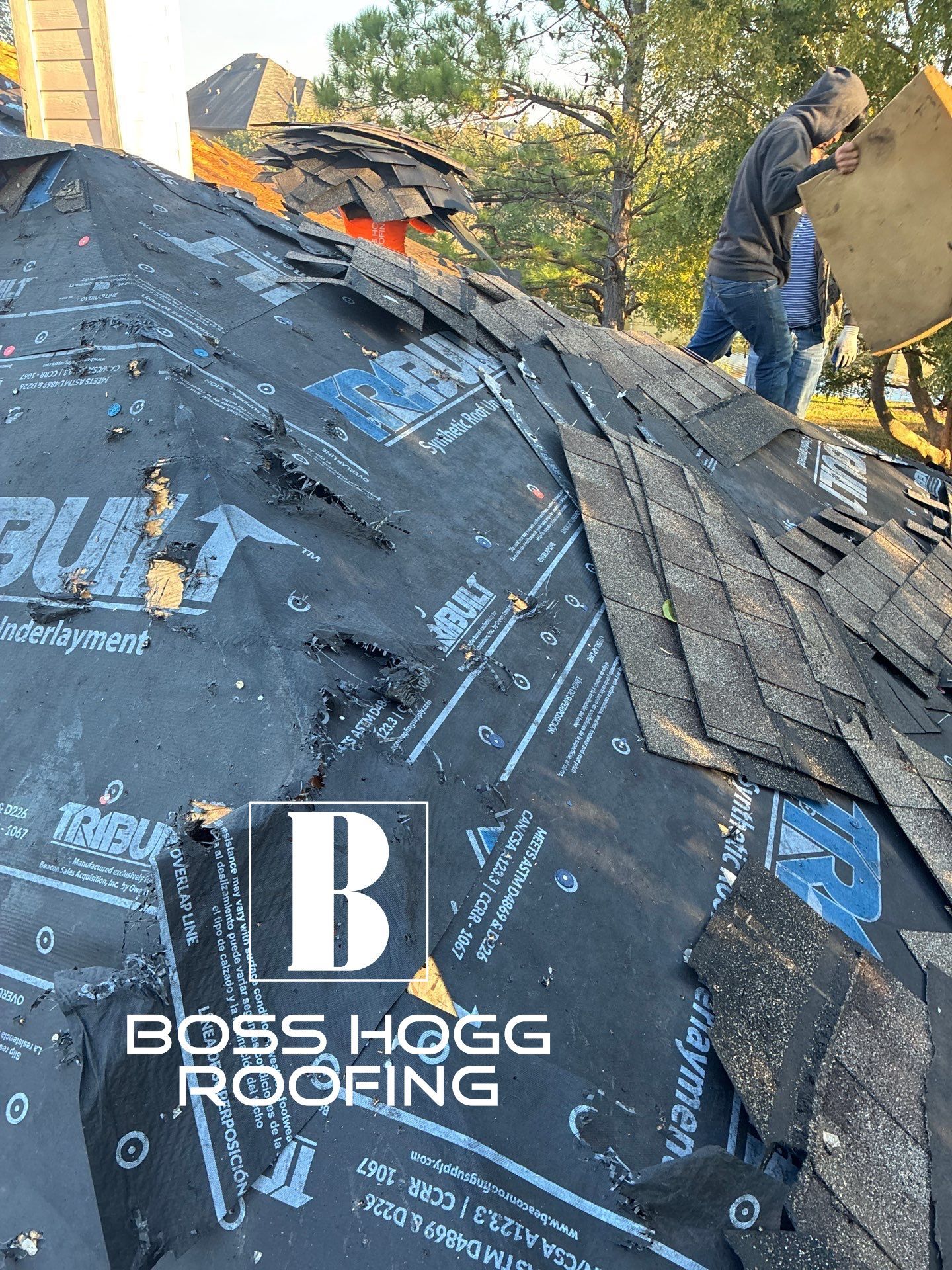 LYNA L by Boss Hogg Roofing