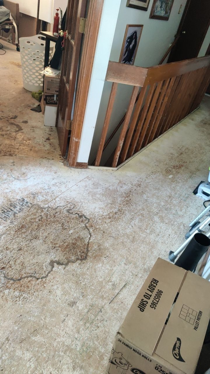 Water Damage  by Accountable Home Services
