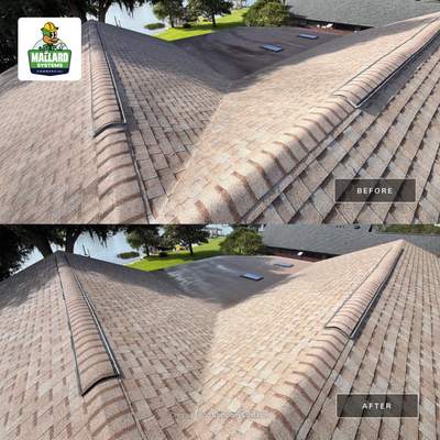 Shingle Roof Cleaning for Home in Winter Park