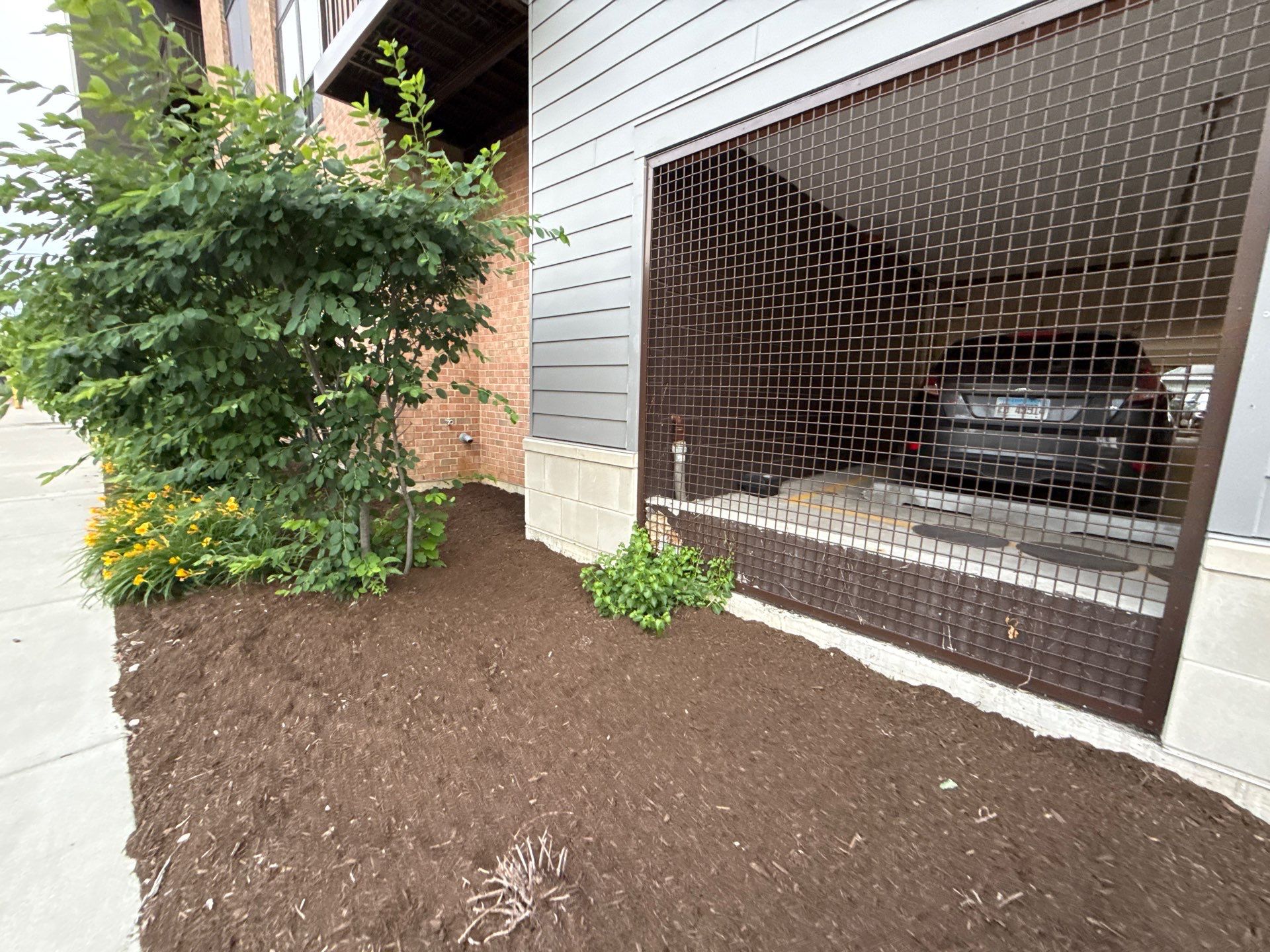 Mirela H. - Mount Prospect, IL by A&N