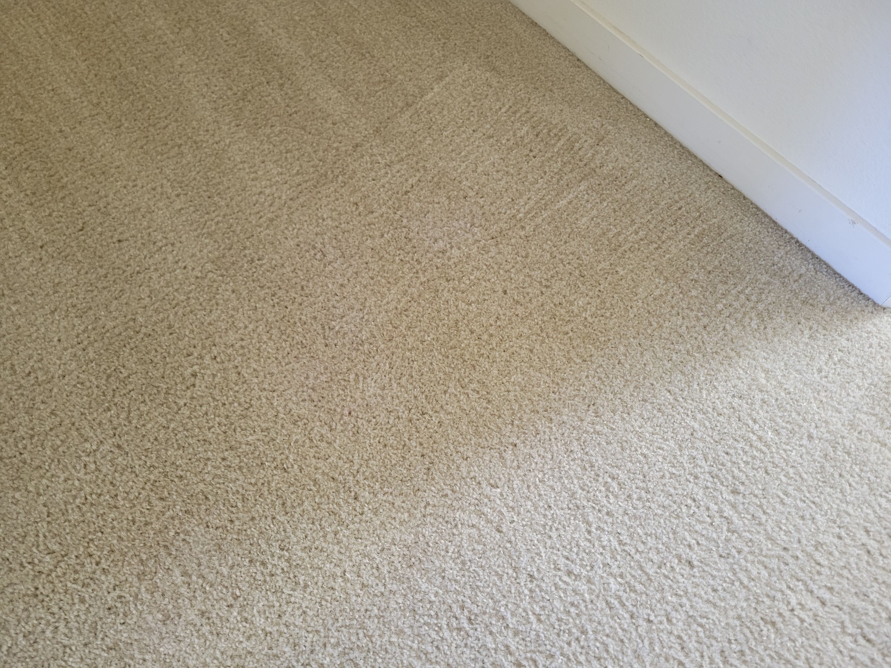Carpet Cleaning & Stain Removal by Ardent Carpet Restore LLC