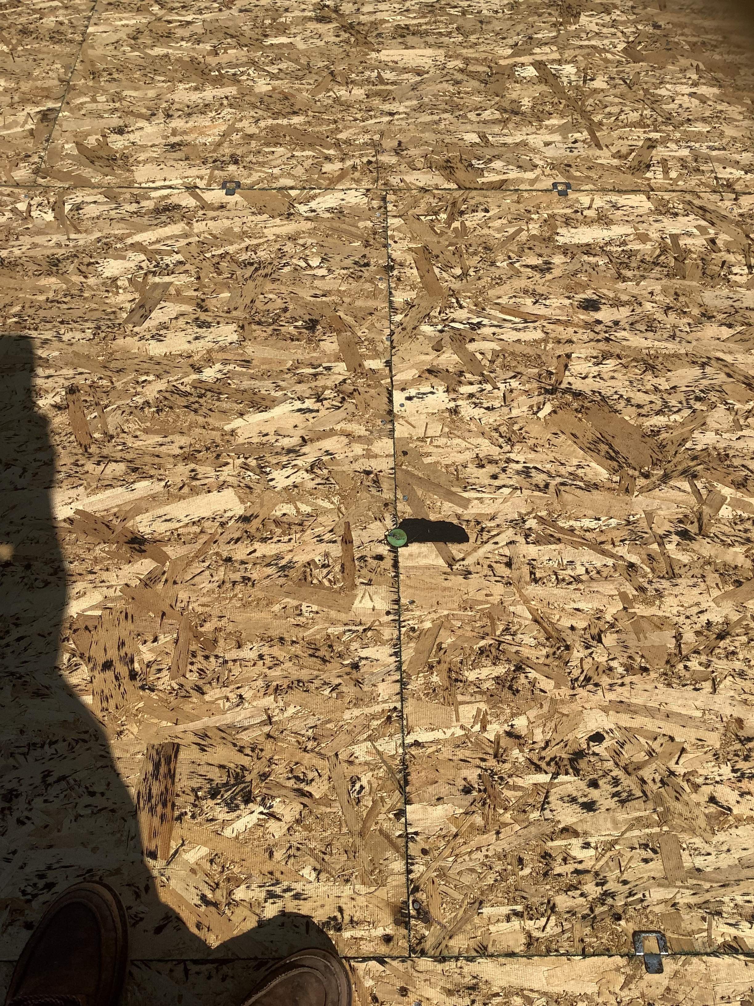 Before and After Photos by The Dantzler Group, Inc.