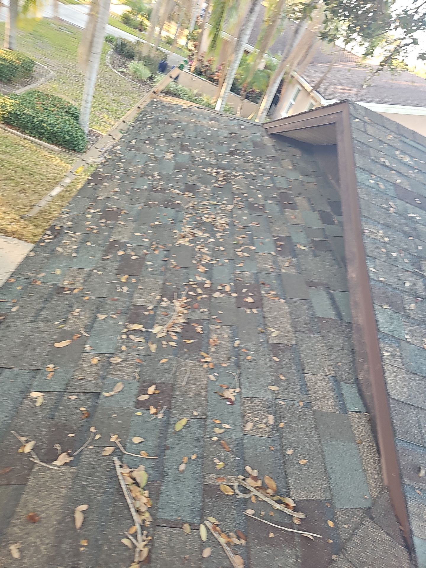 Project in Dunedin 34698 by Mitchell Roofing Company LLC