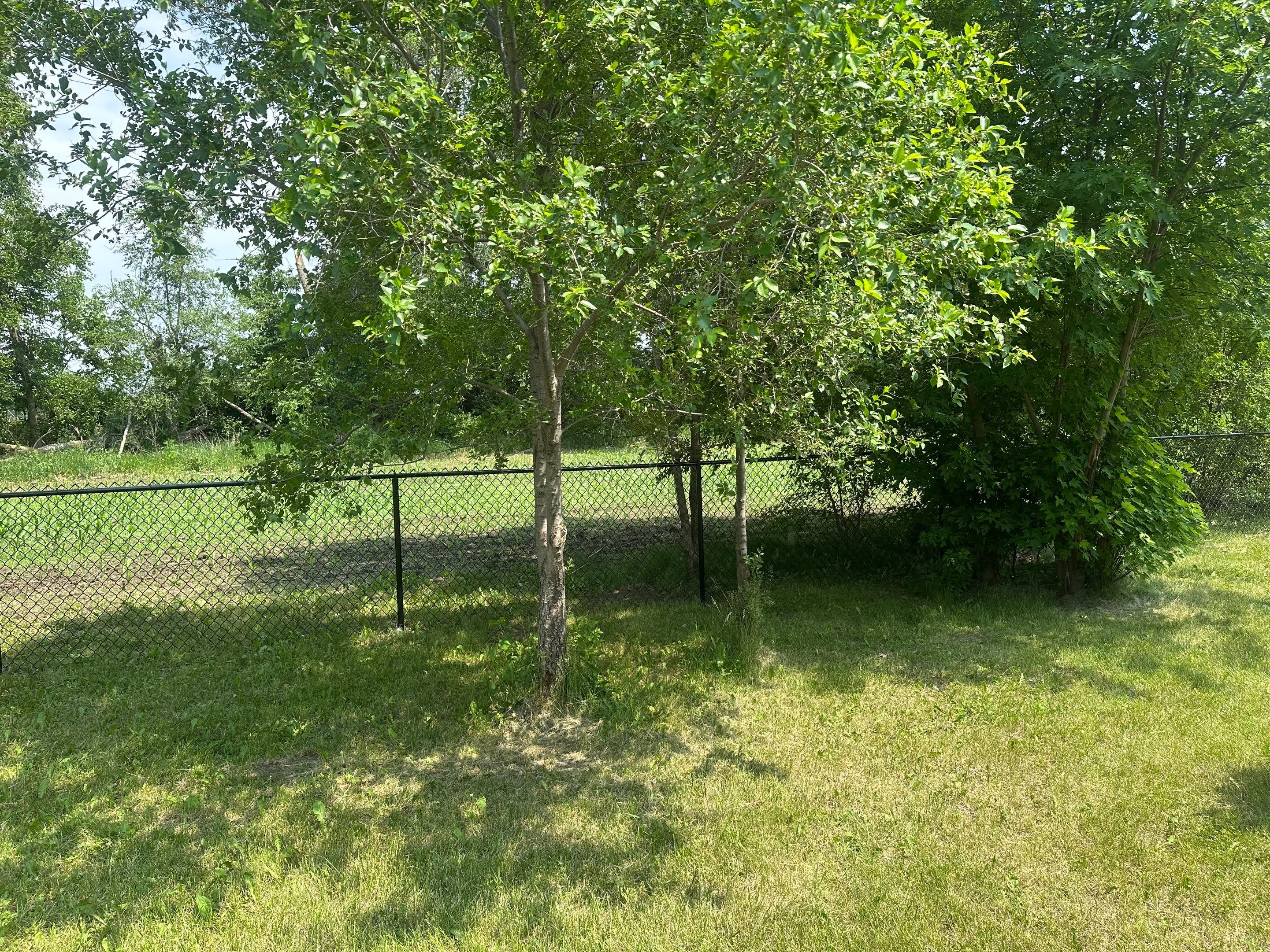 Project in Janesville by Perfect Picket Fence and Stain