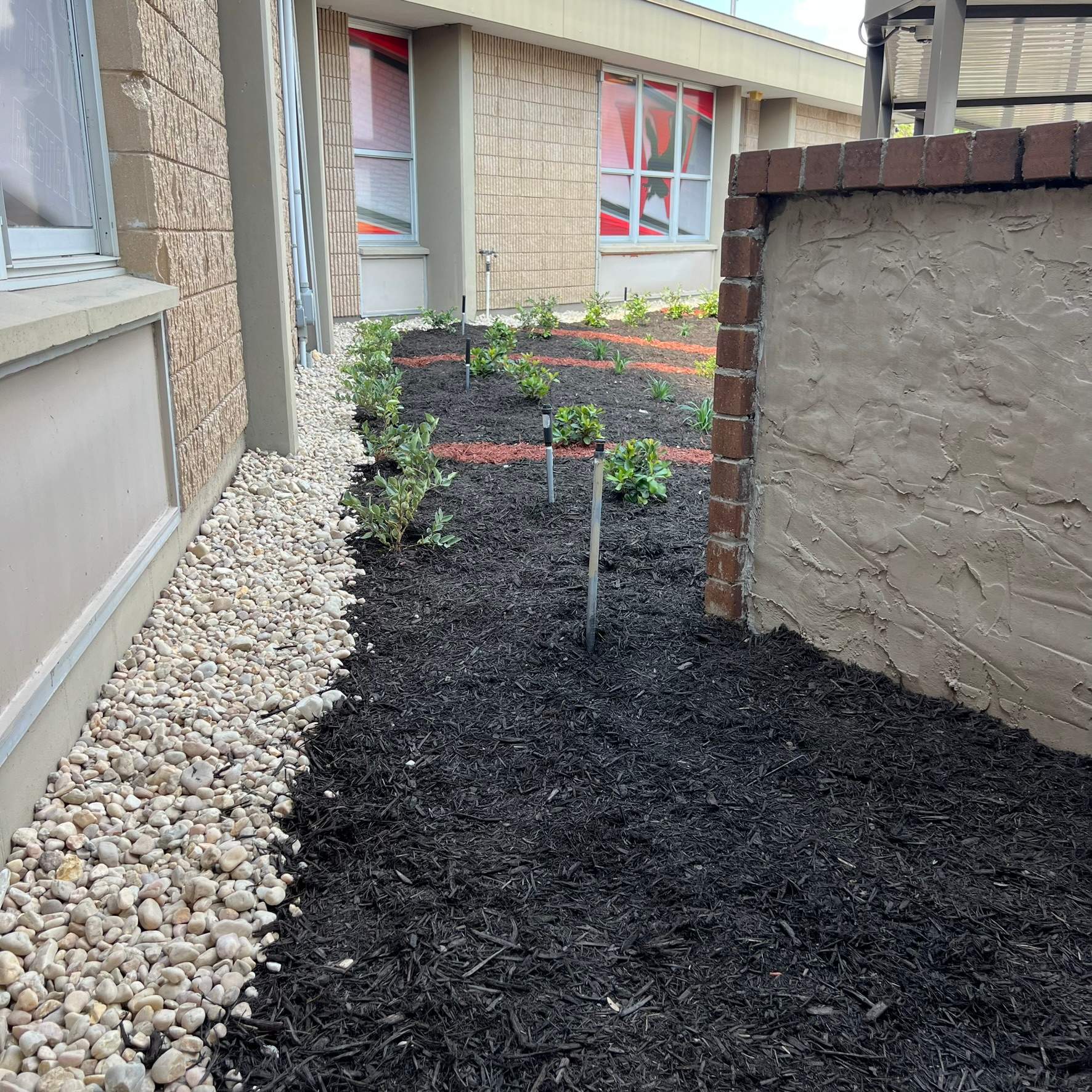 Landscape Install | Wilkinson JHS by ProGreen Services