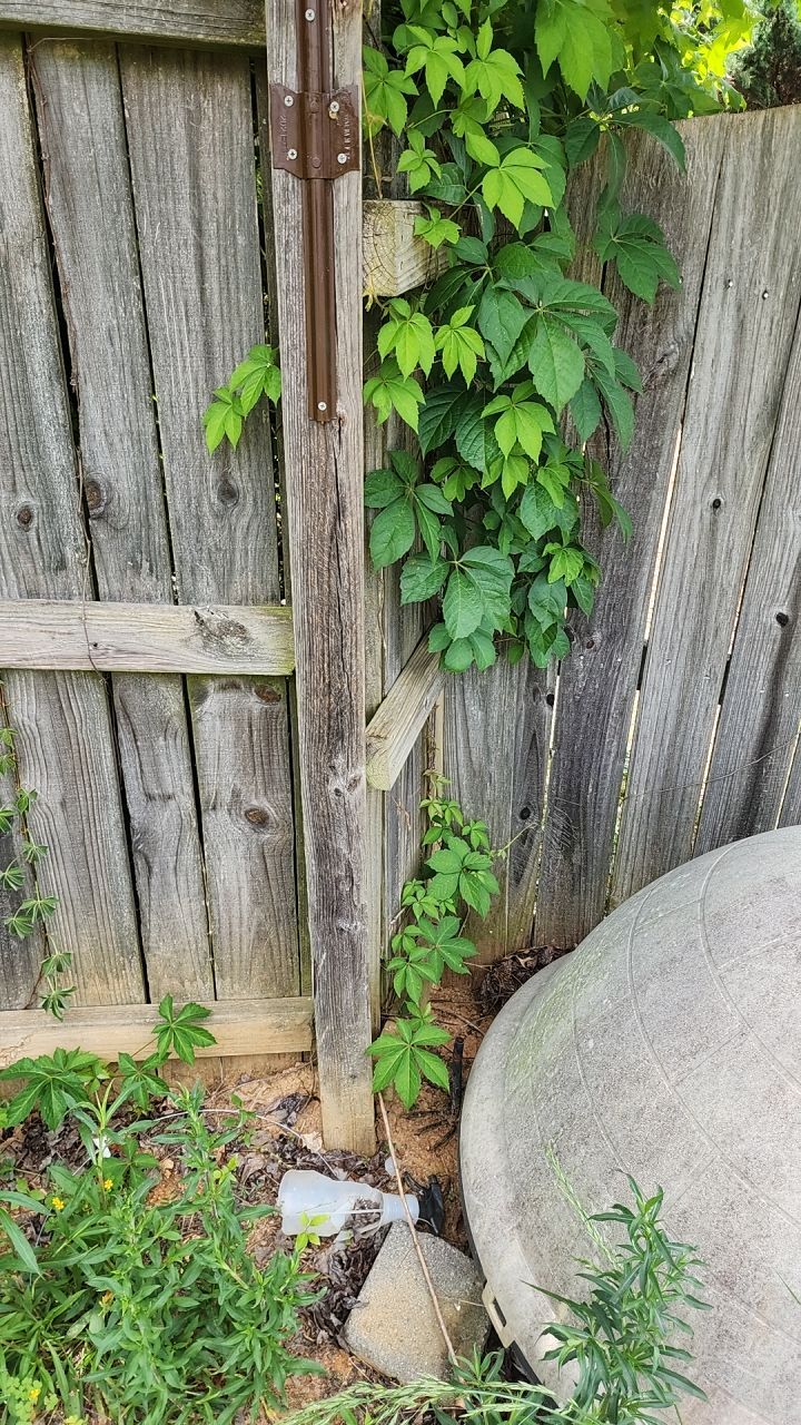 8 Foot Wood Privacy Fence Installation by Titans of Timber Fence & Stain