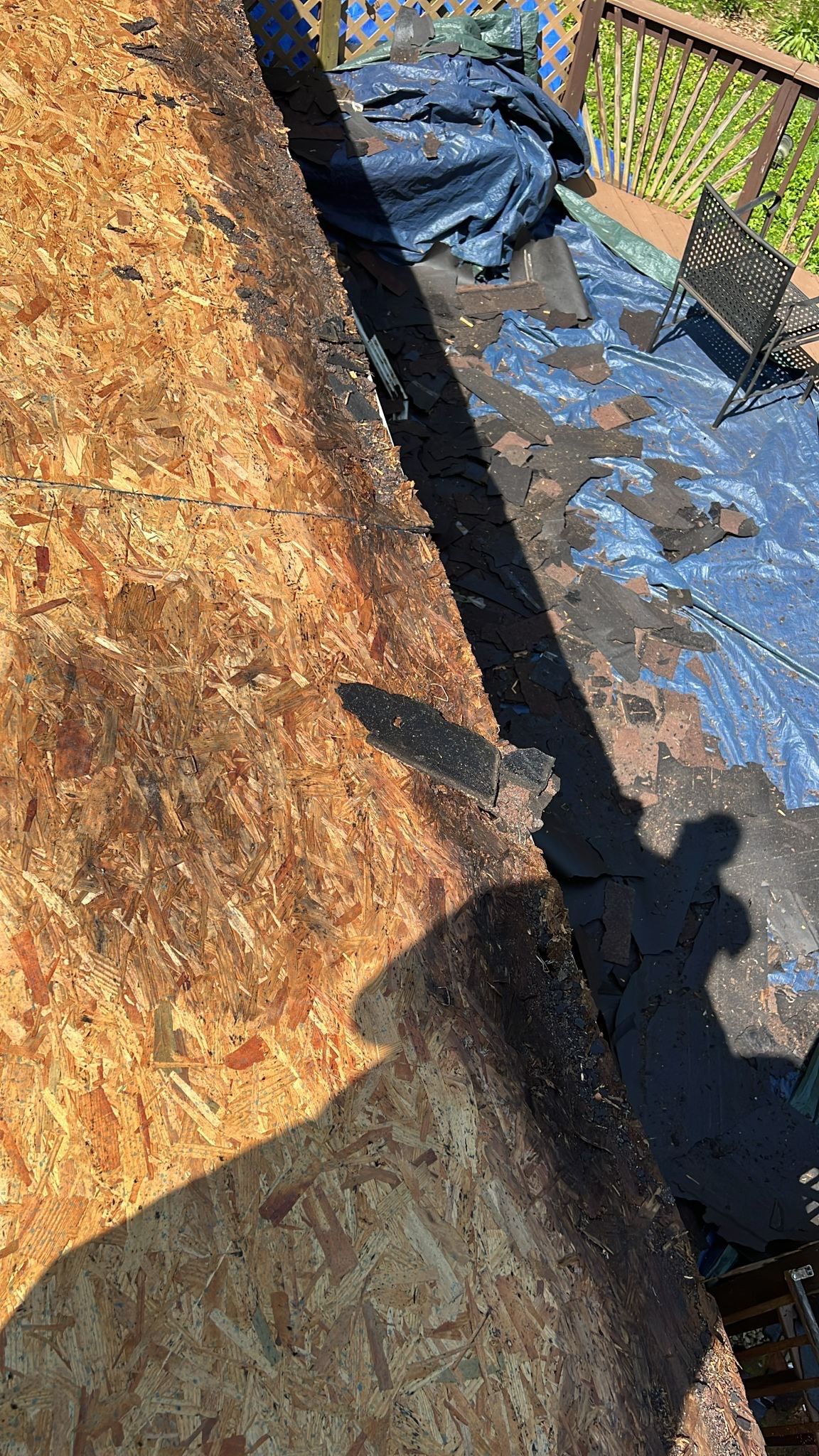 Roof Replacement - Landmark PRO Red Oak by Winchester Roofing