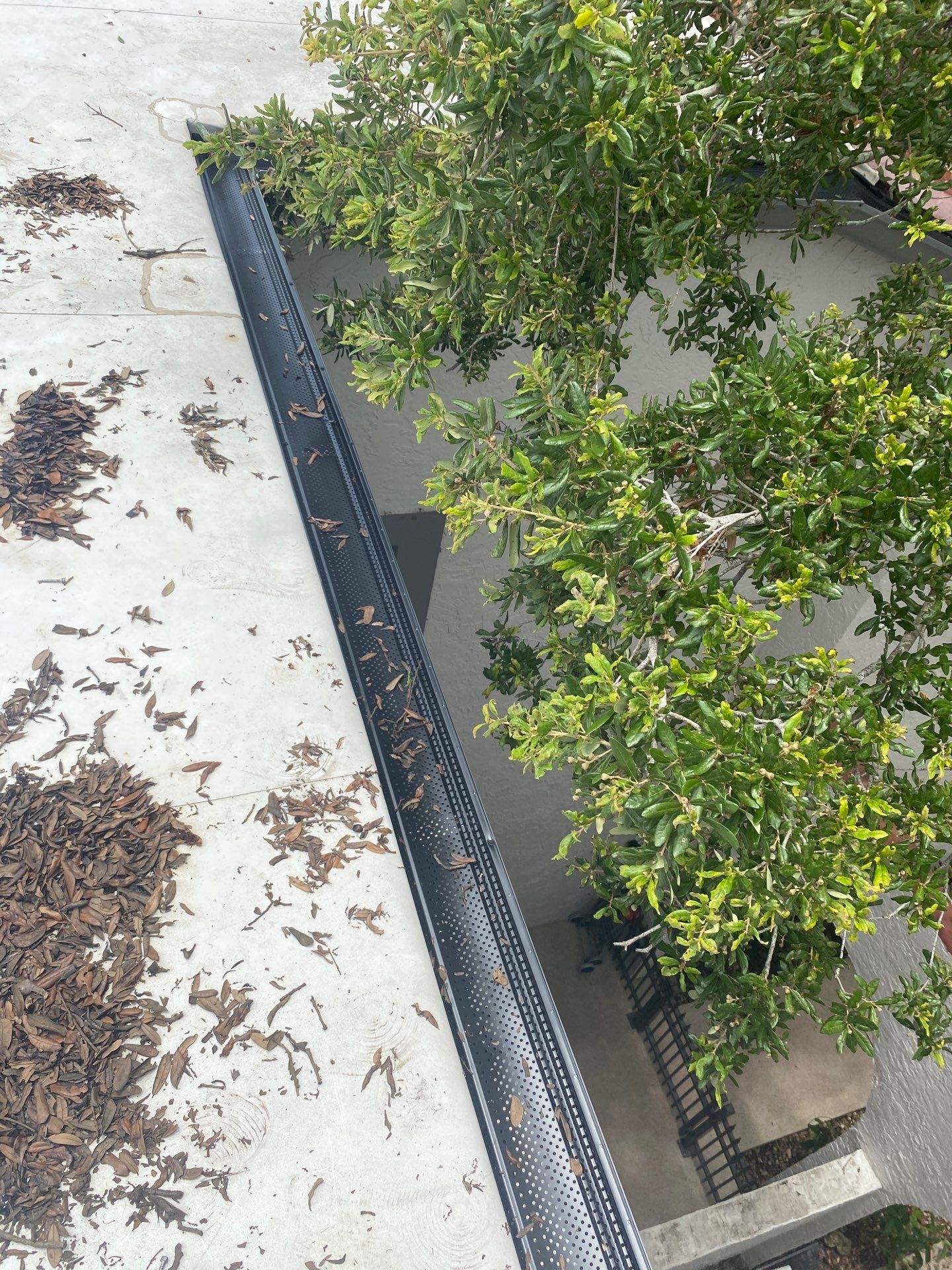 Custom Residential Gutter Guard System Installation in Saint Petersburg FL by Gutter Professors