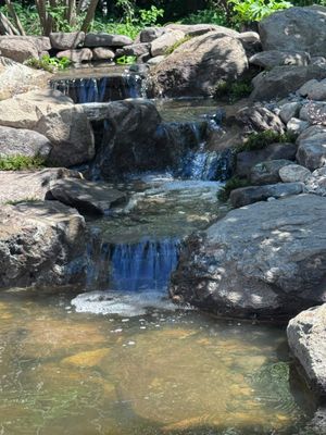 Complete Demo and Rebuild on a Small Pond in Amherst