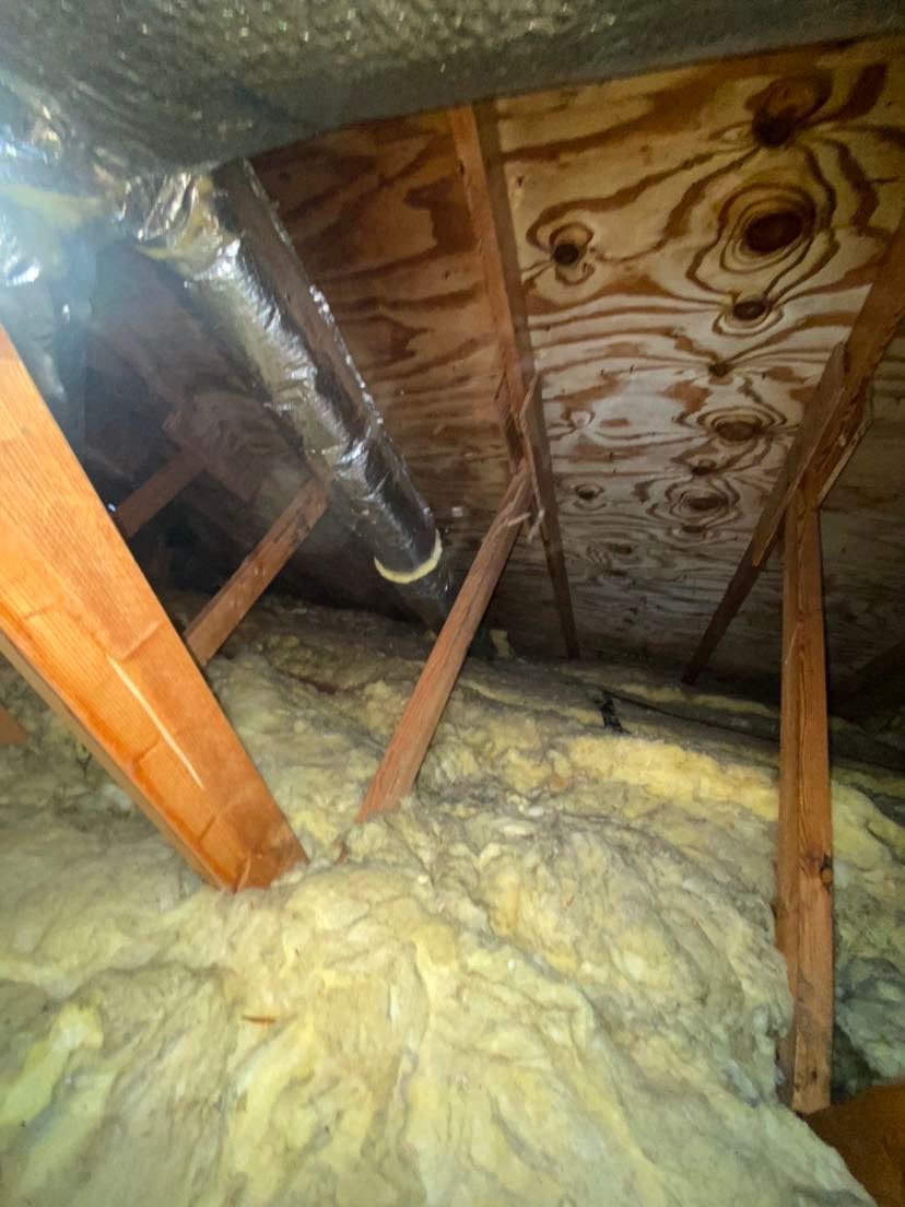 Attic Mold Remediation by Chicagoland Water Medics