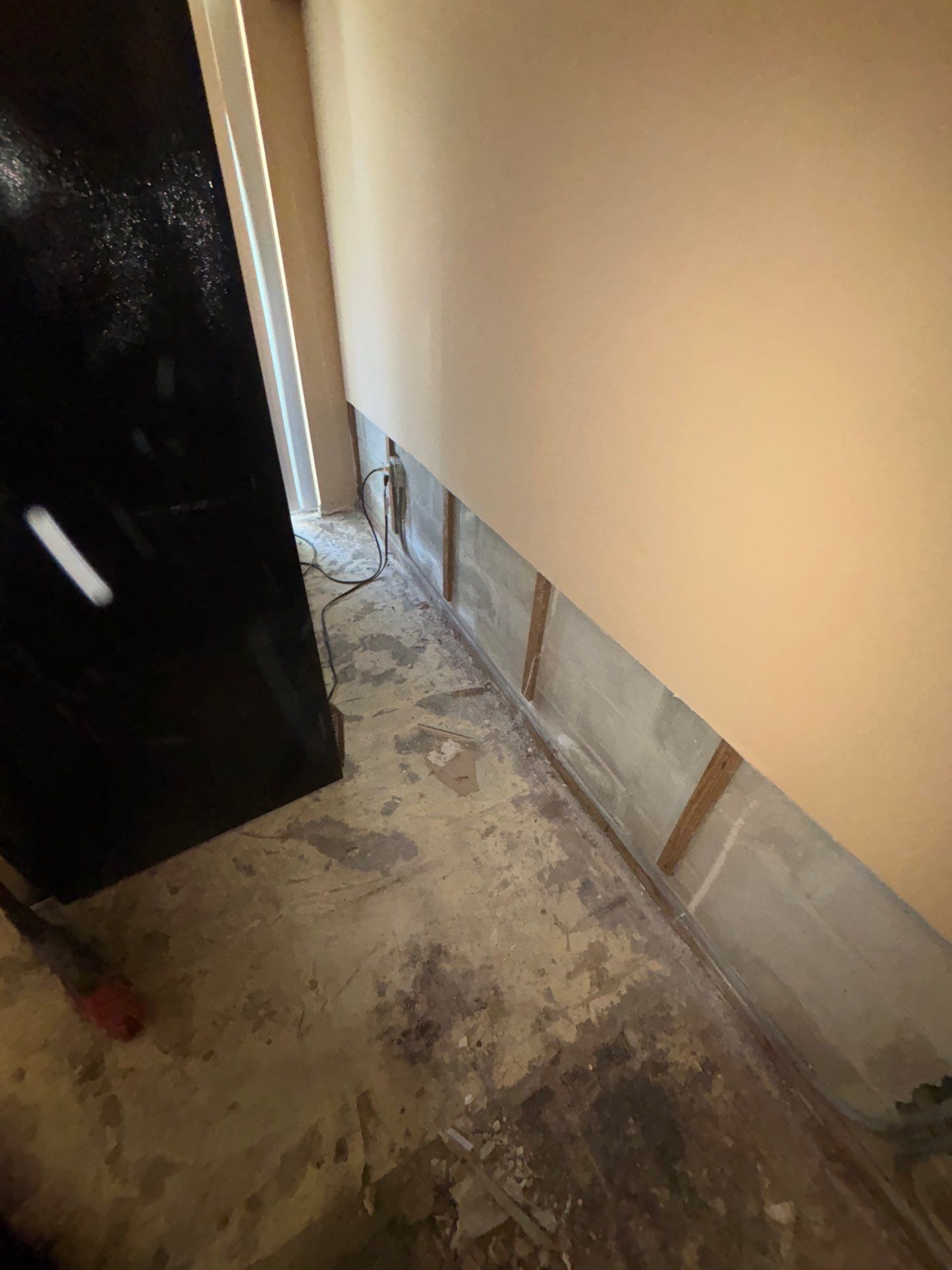 Commercial Mold Damage In Sarasota by Ampm Restoration Services