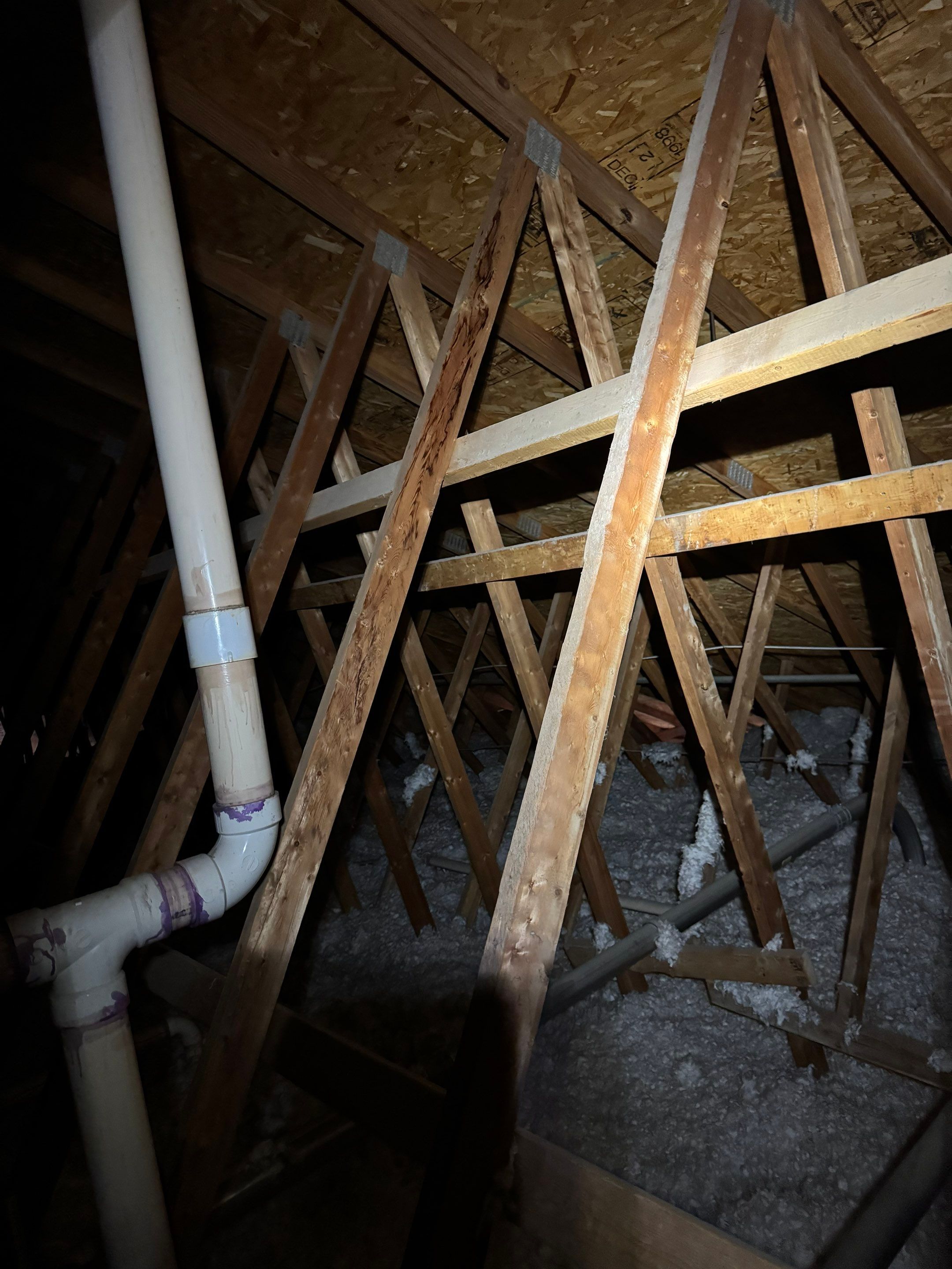 Joey Mullins by Imperial Roofing and Contracting 