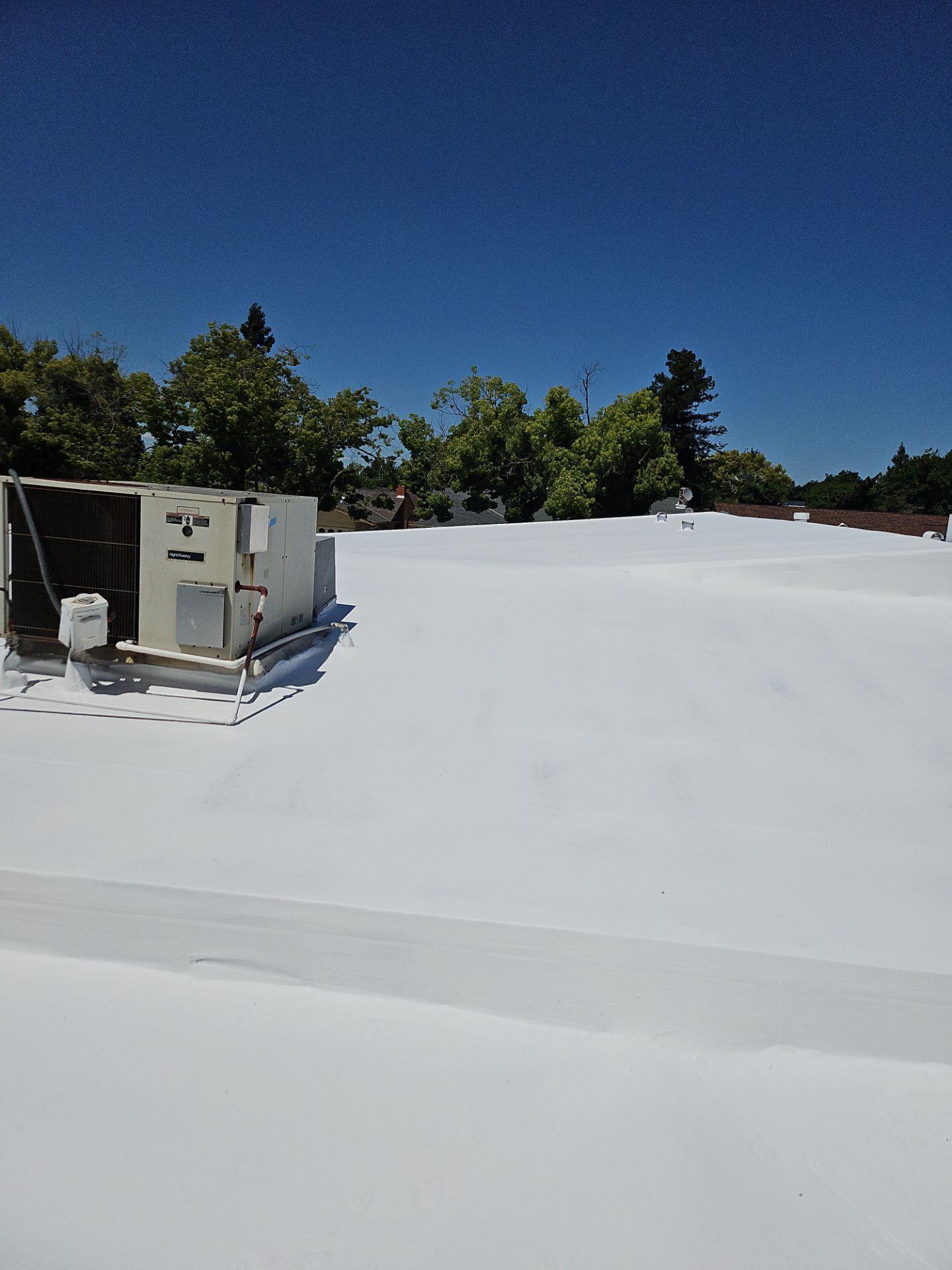 Single-ply restoration system using Benchmark/PUMA XL coatings over TPO single-ply roofing by Straight Edge Roofing Inc