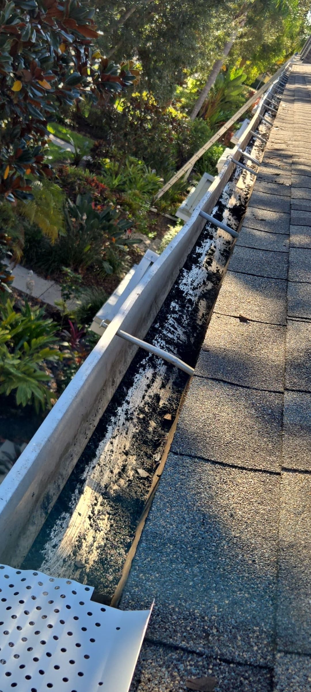 Gutter Cleaning Service in Fort Myers FL by Gutter Professors