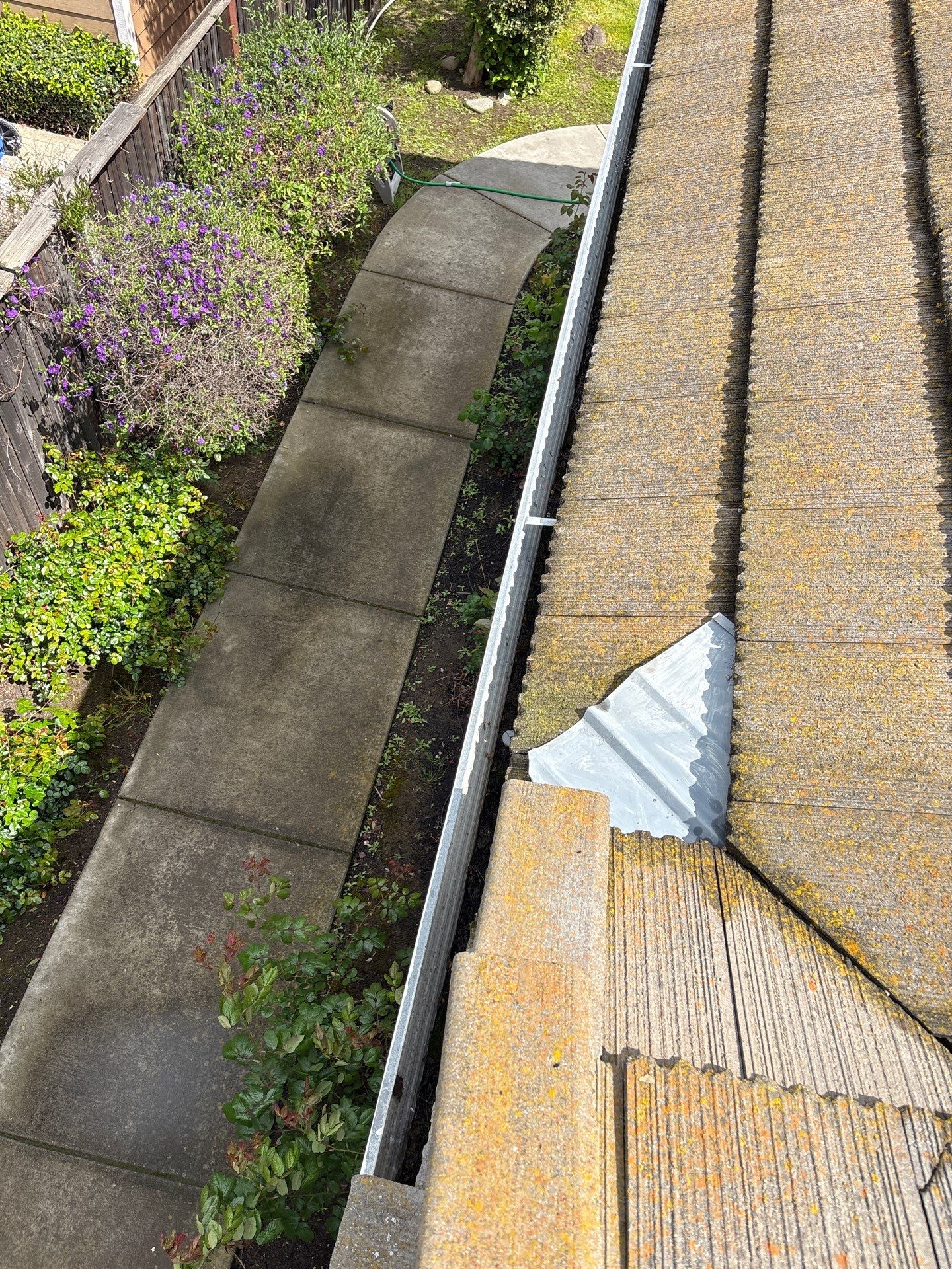 Moss Removal by Top Elevation
