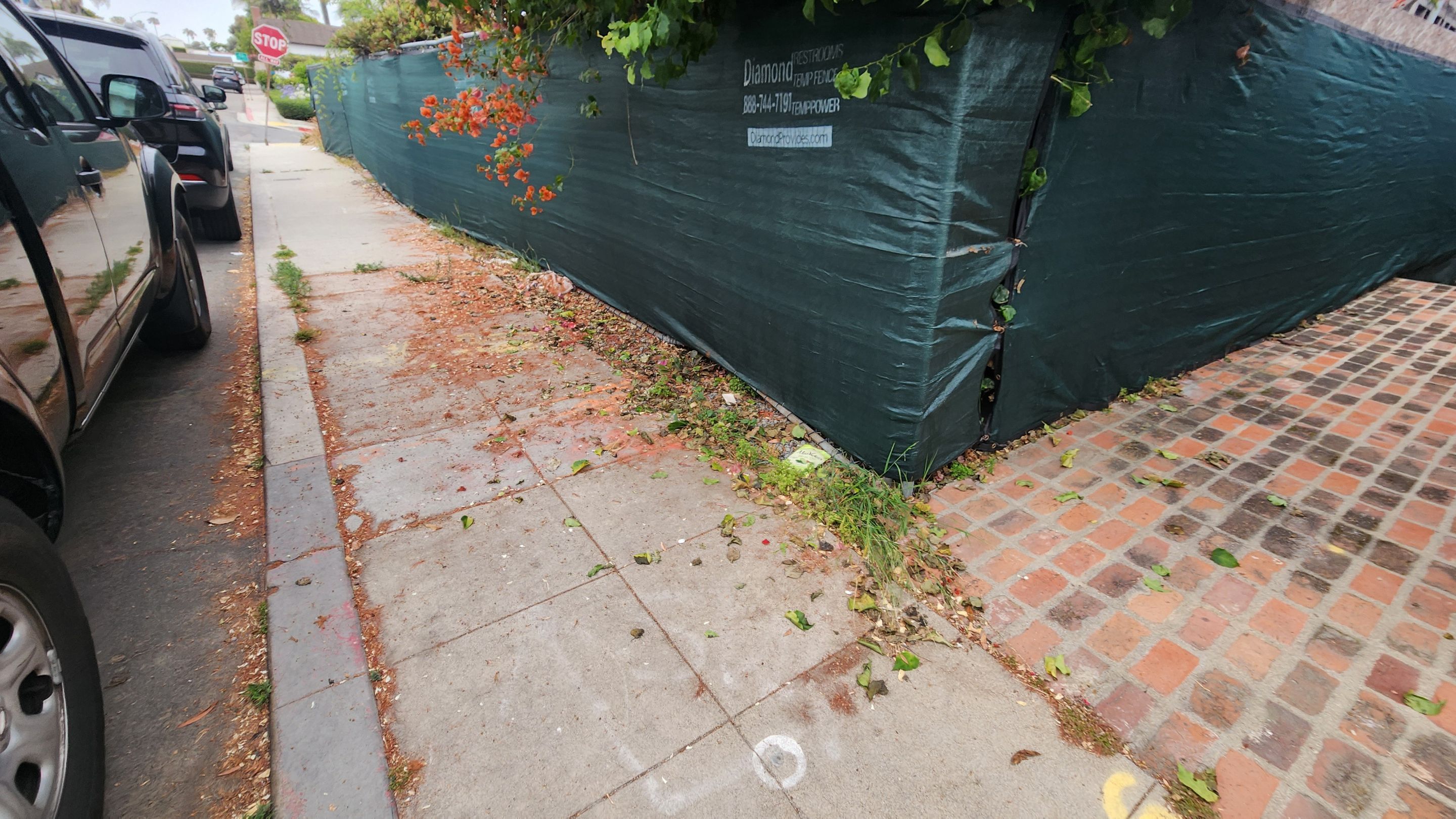 Site Clearing and Debris Removal for La Jolla Construction Project by Yard Techs
