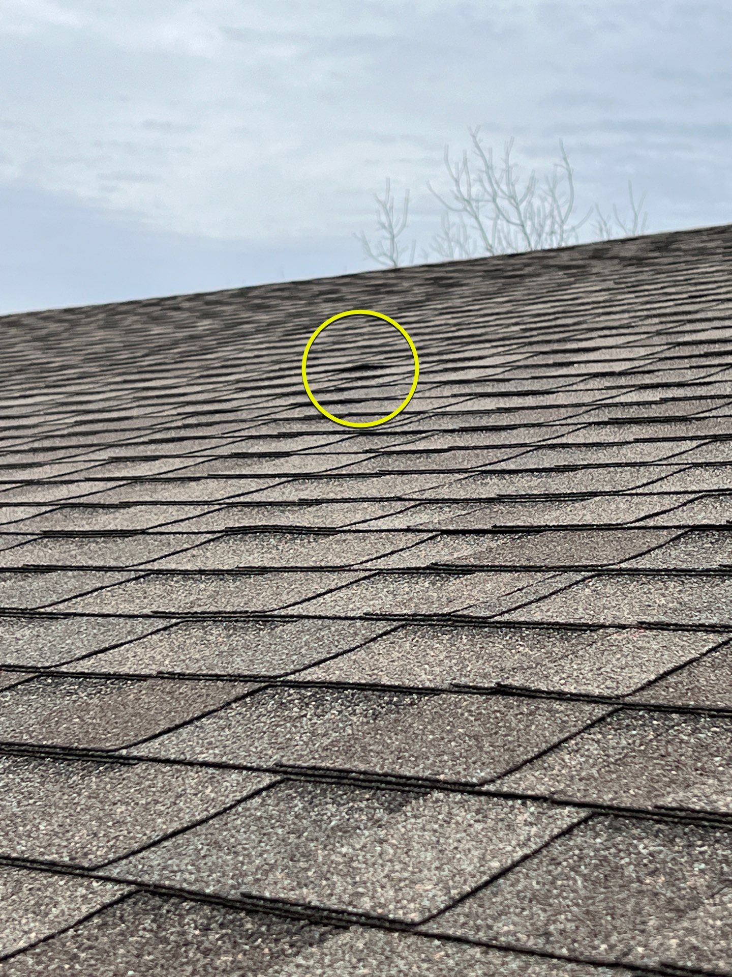 Roofing & Fascia Replacement done right!! by In & Out Construction & Remodeling, LLC