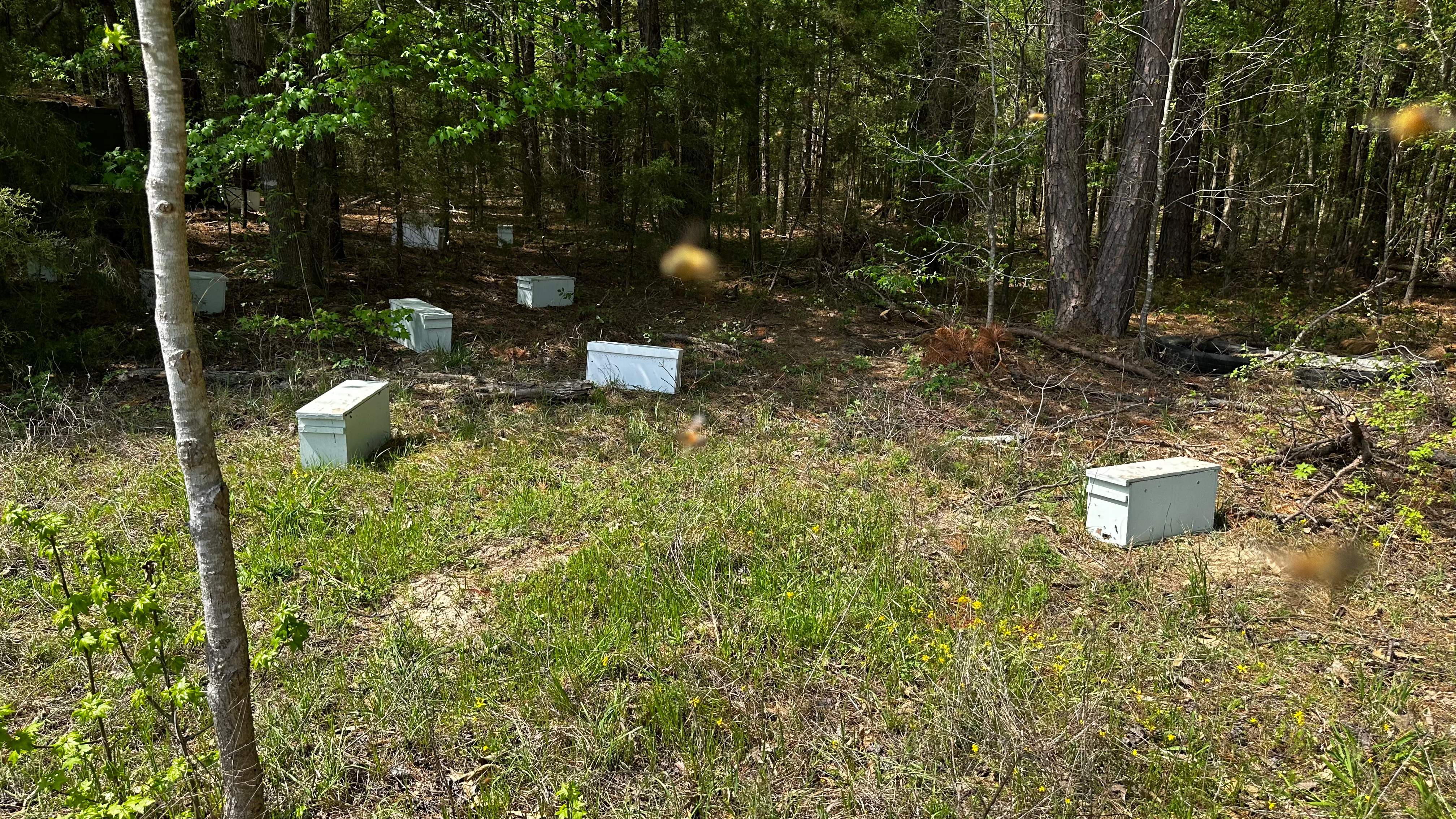 Traylor's Hay Meadow Apiary by Rockwall Honey Bee Company