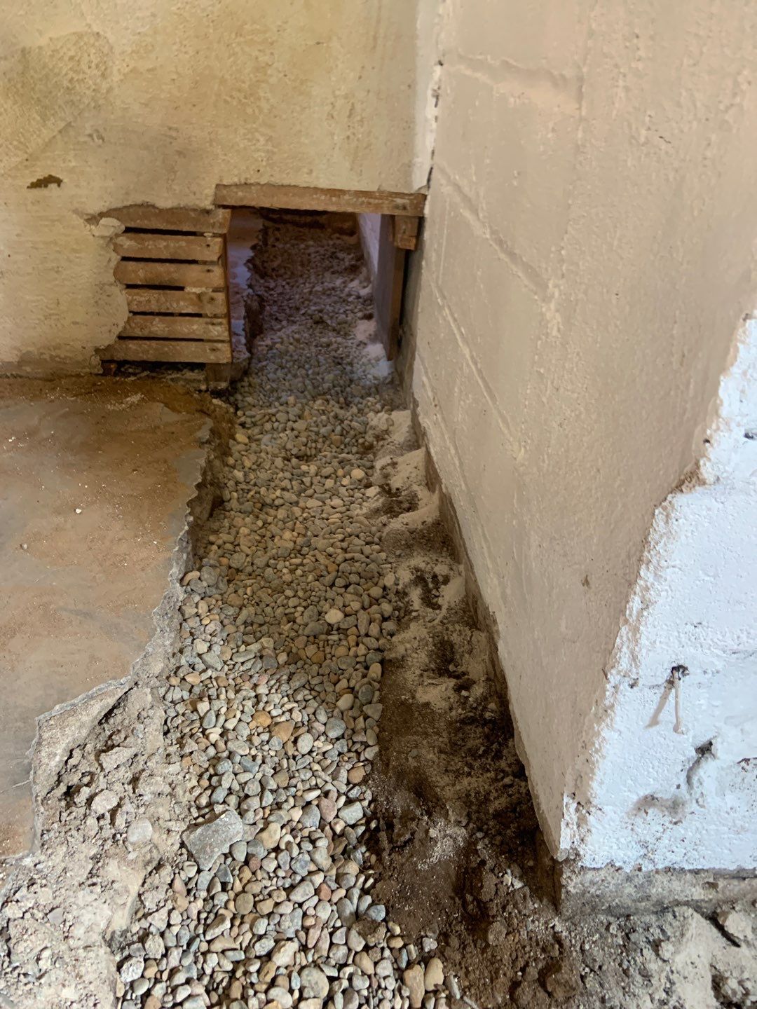 Keeping Brent’s Tenant Safe in South Minneapolis by Waterproofing Northeast