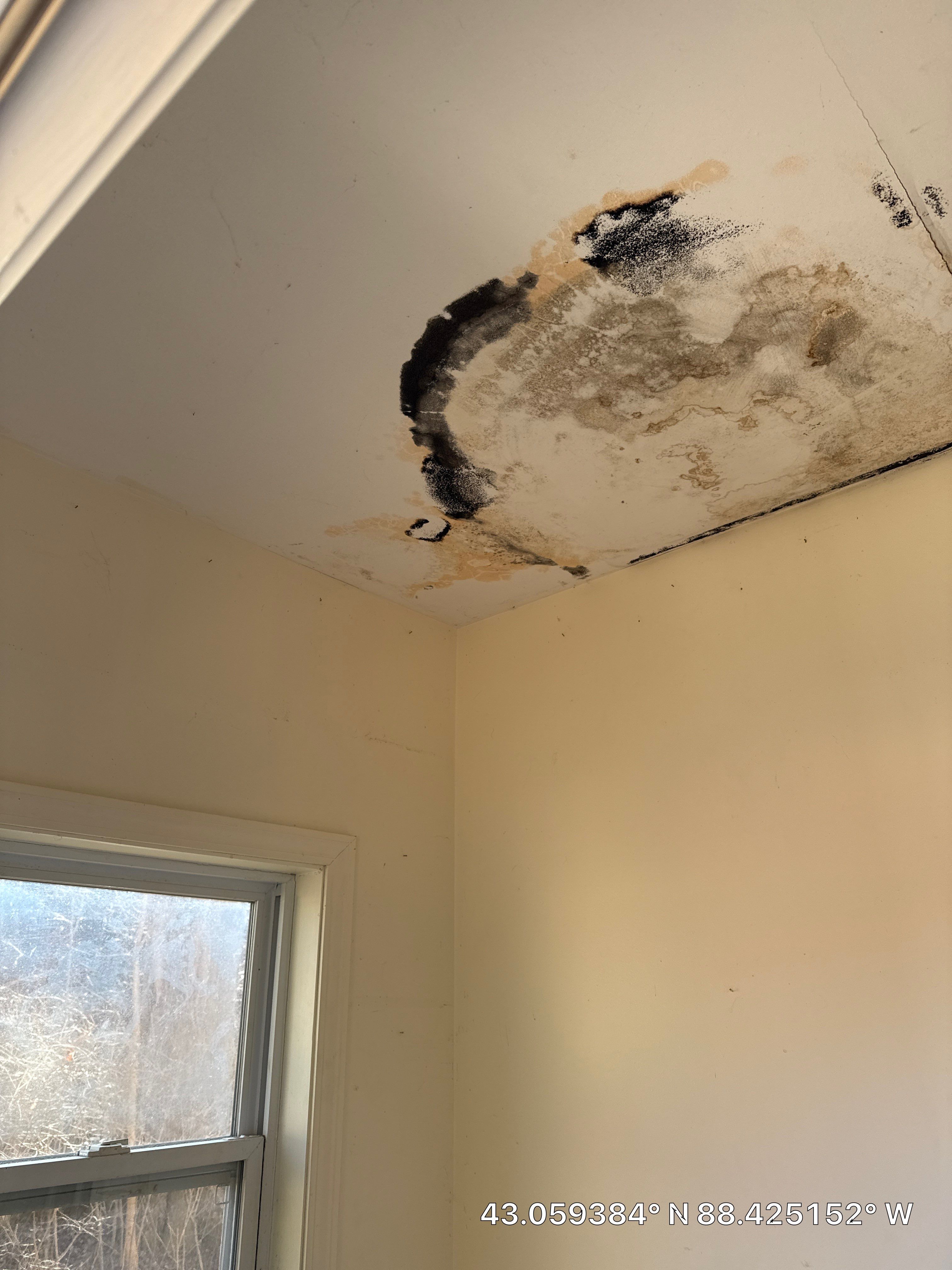 Mold Remediation for Delafield Residential Property by Dry Source Property Restoration 
