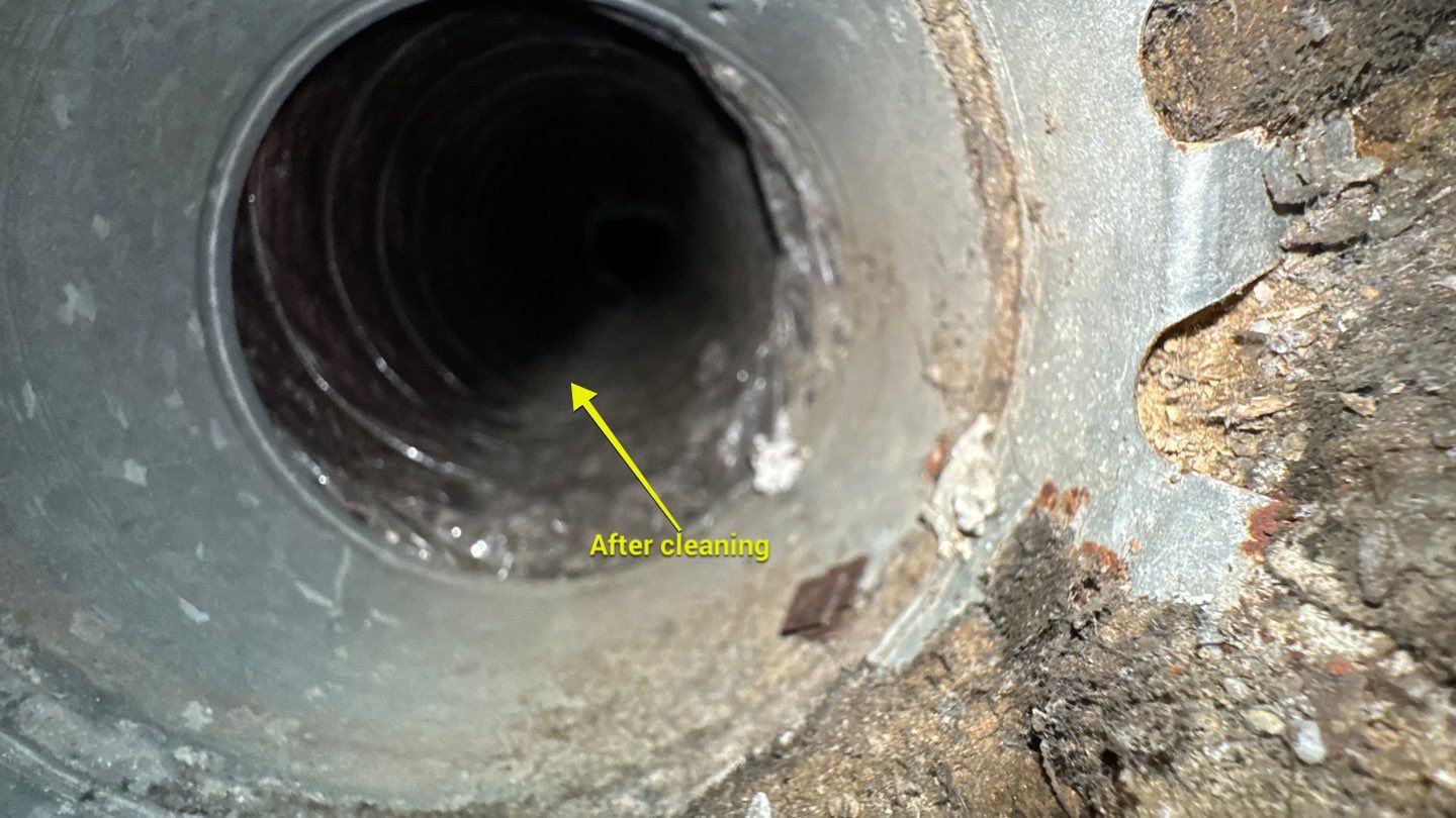 Extremely Dirty Air Duct Cleaning in Fruitland Park by Hygienic Air, Inc