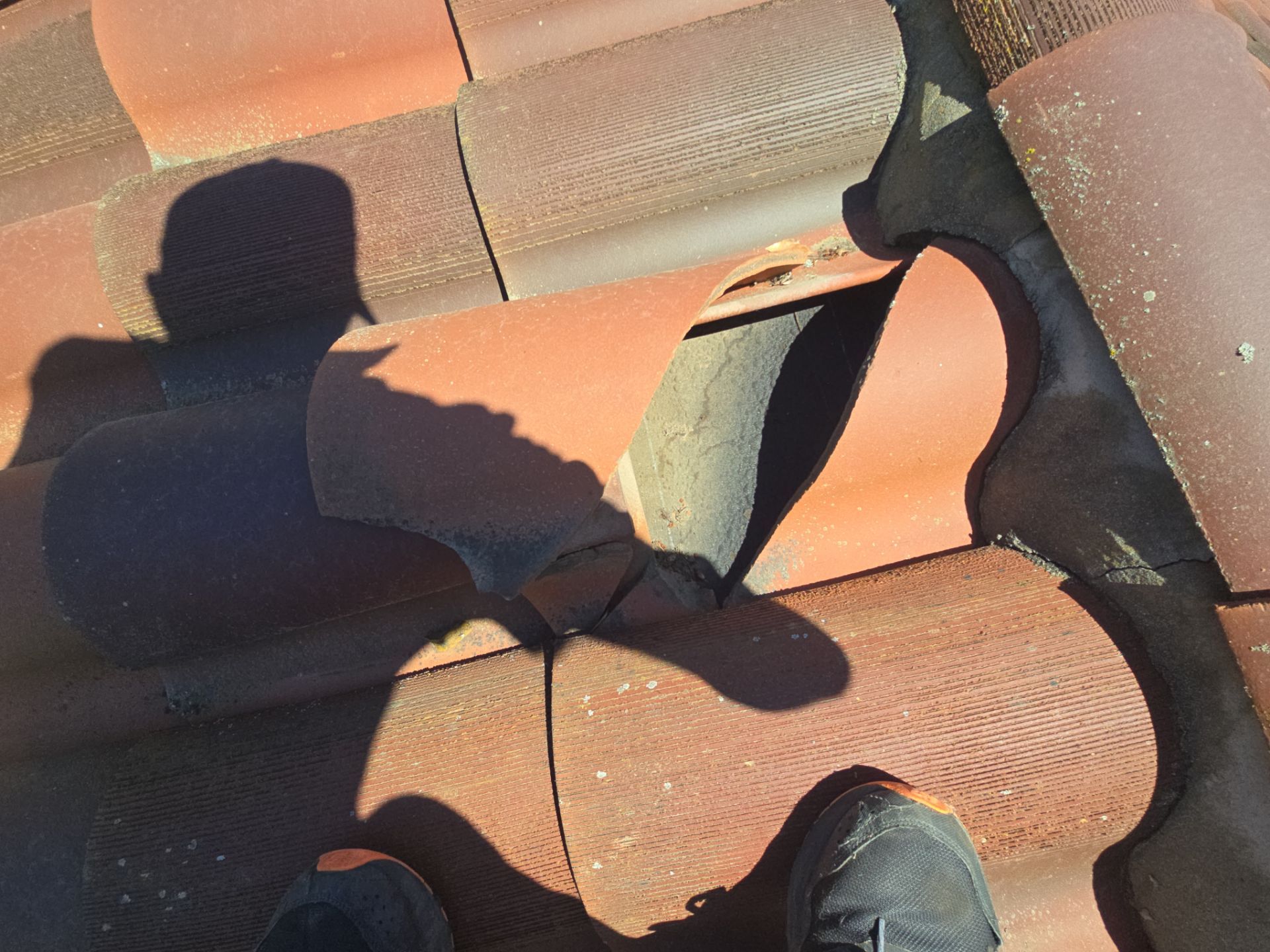 Dana Logsdon Roofing & Solar featured photo.