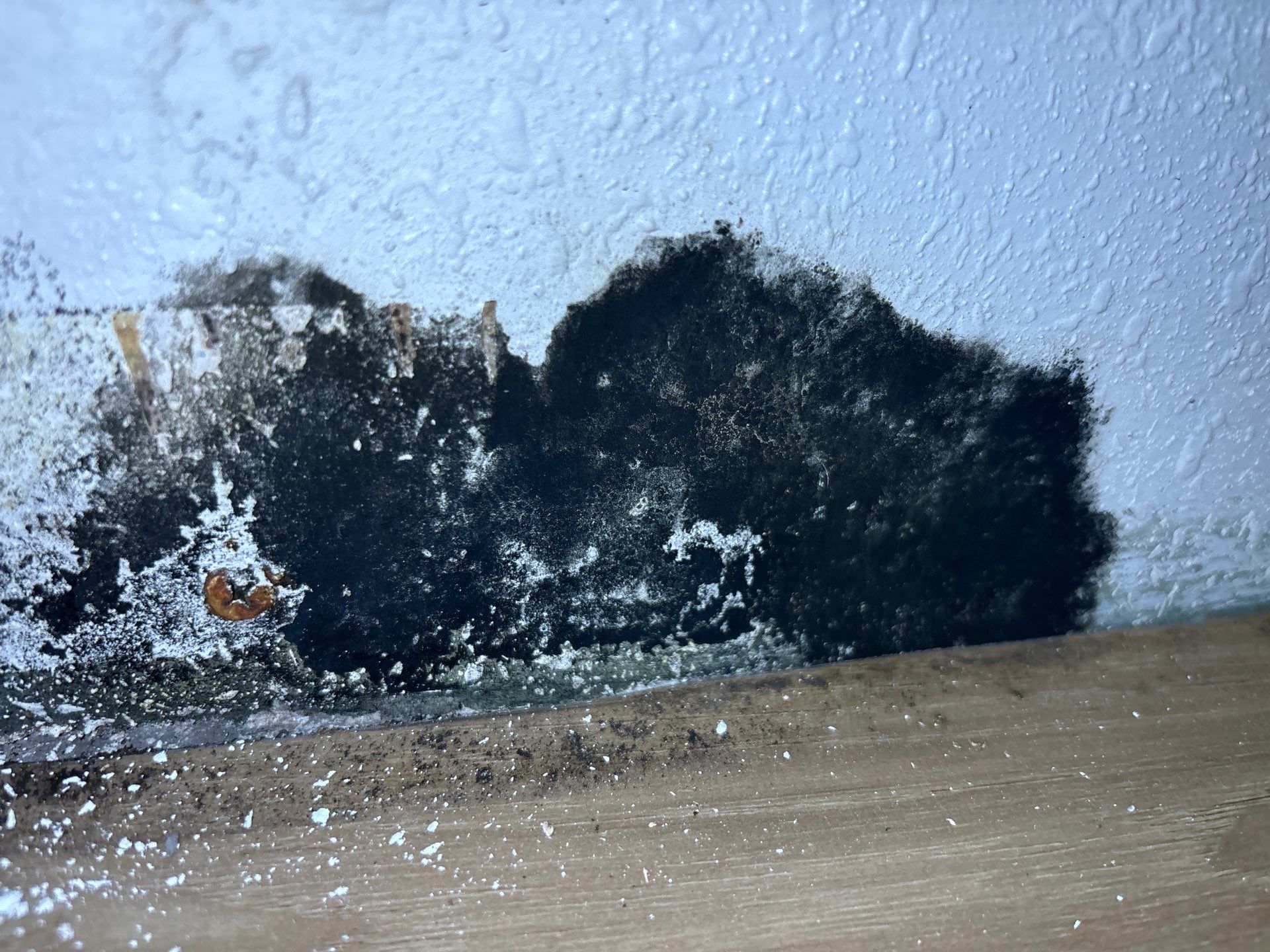 Water Damage Restoration by Ampm Restoration Services