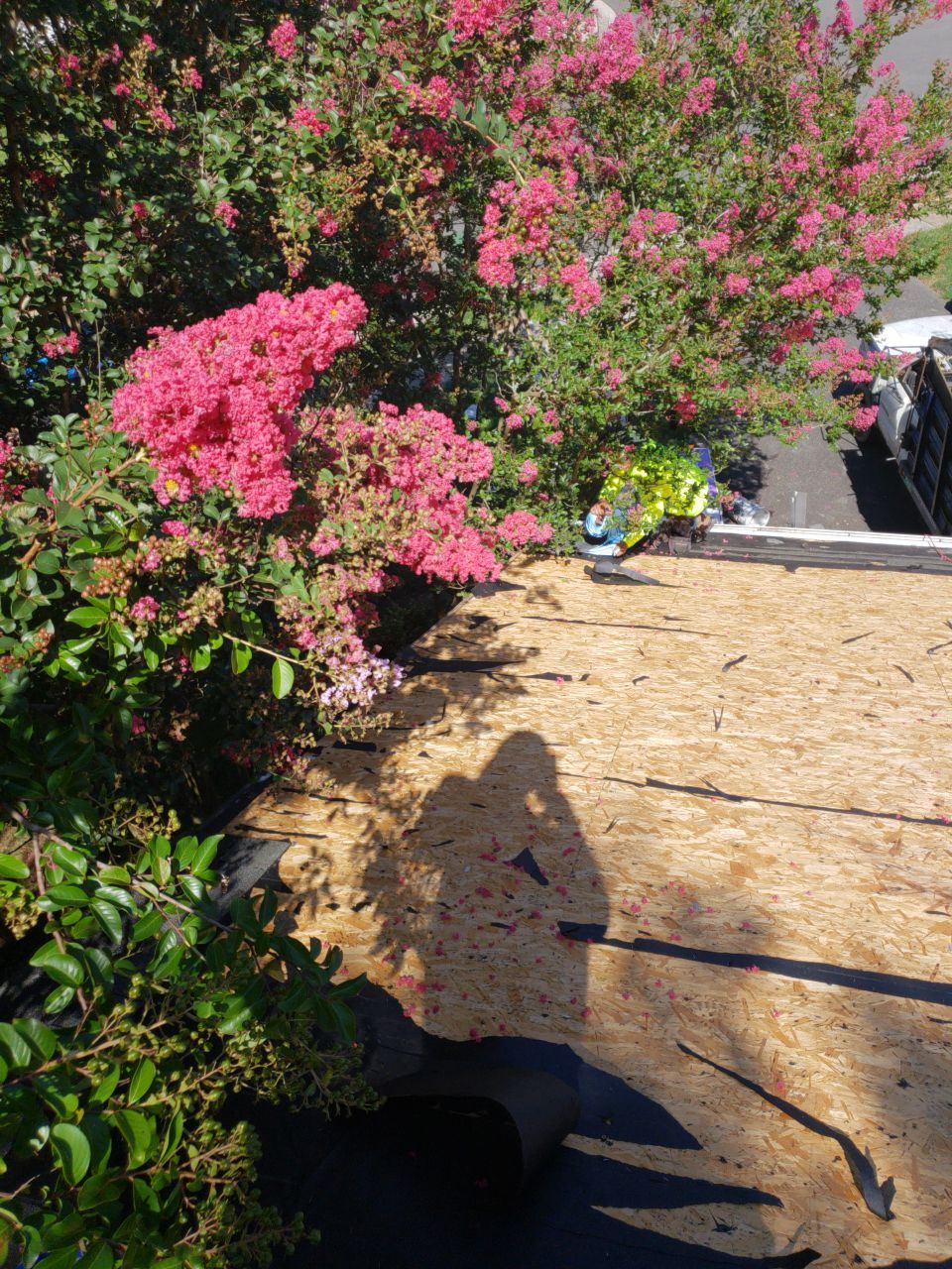 Alexandria: CertainTeed Landmark Pro Designer Shingles in Max Def Colonial Slate by RM Banning, Inc.