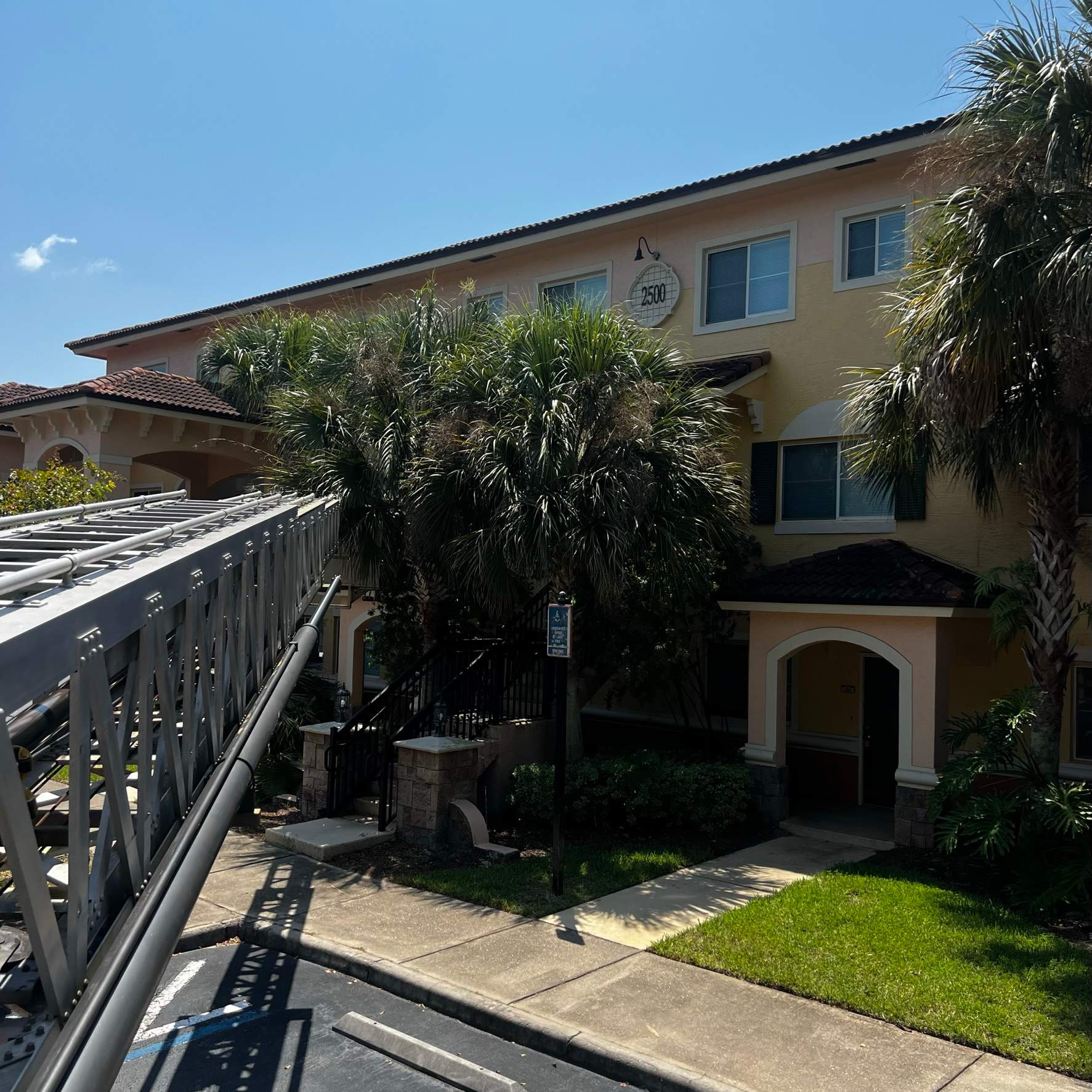 Palm Tree Trimming | IL Villagio Condominiums by ProGreen Services