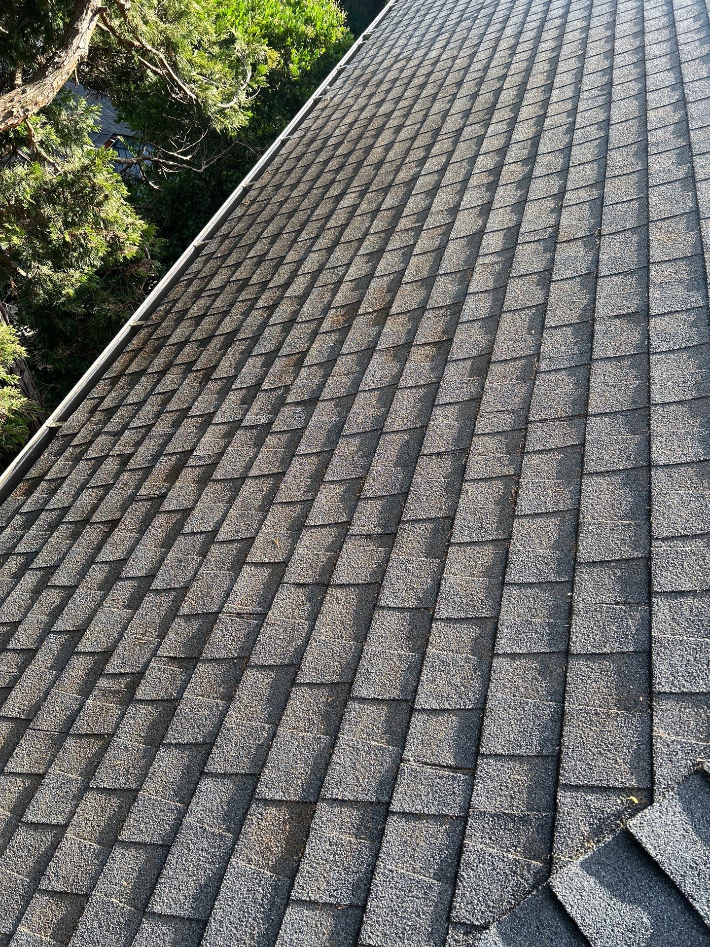 Roof Cleaning by Handyman State LLC