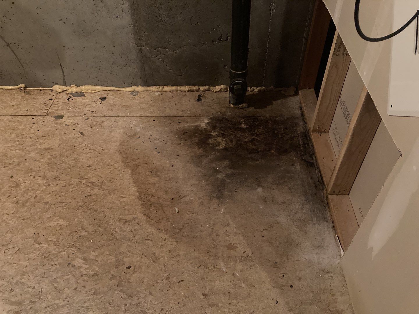 Mold Remediation in Kitchen by Accountable Home Services