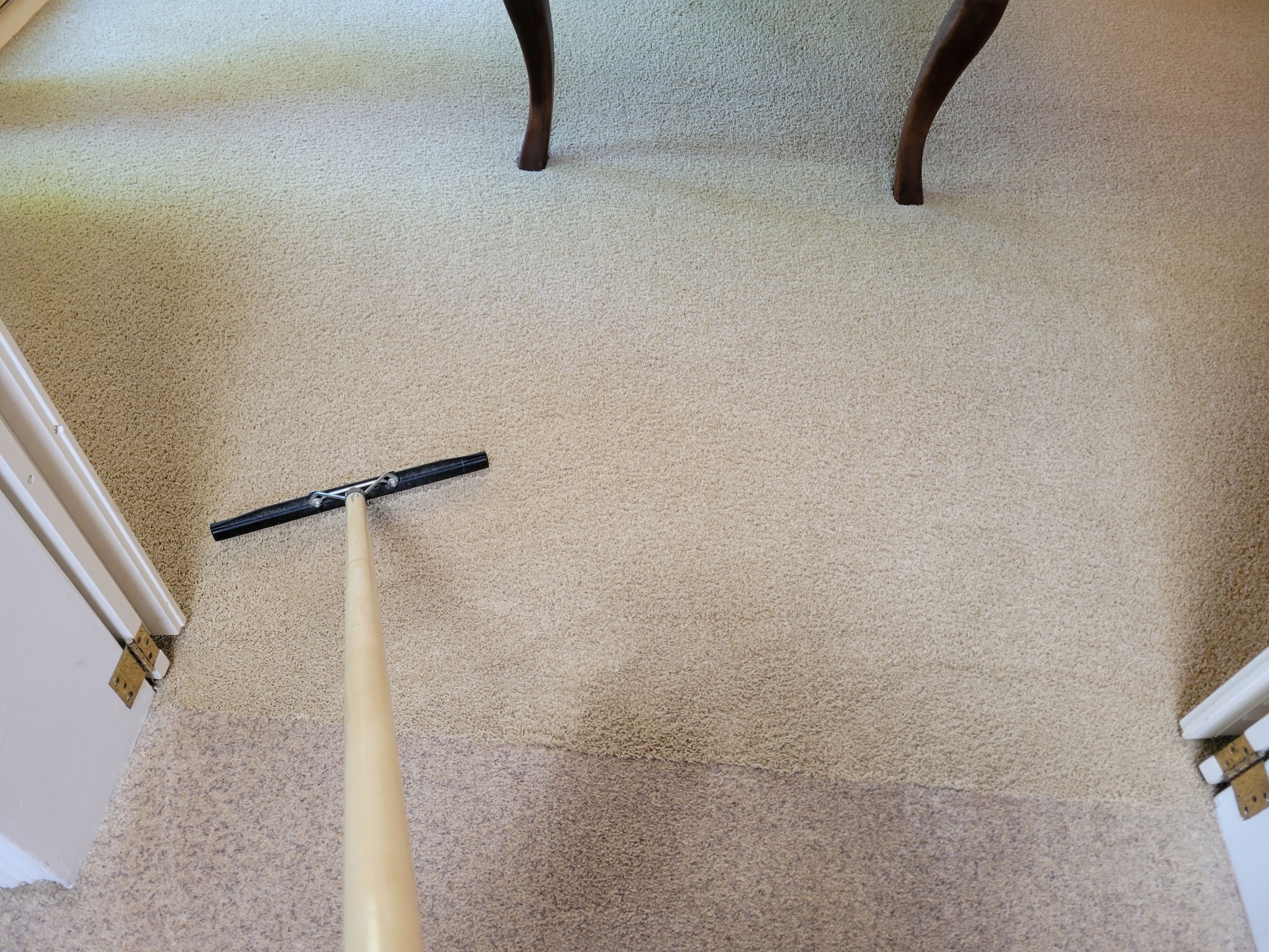 Regularly Scheduled Carpet Cleaning by Ardent Carpet Restore LLC