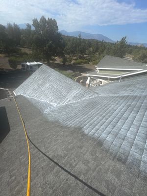 Project in Weed