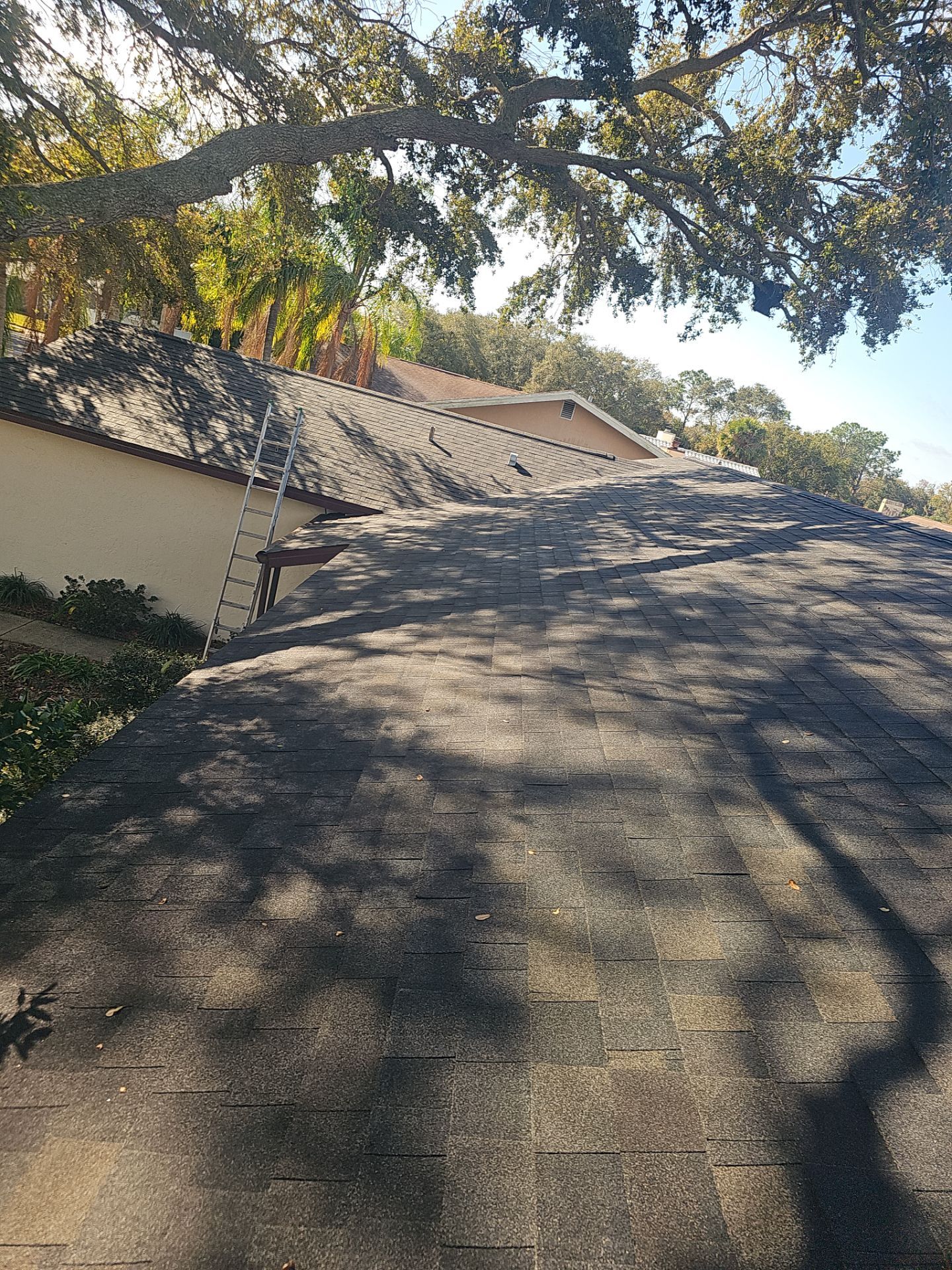 Project in Dunedin 34698 by Mitchell Roofing Company LLC
