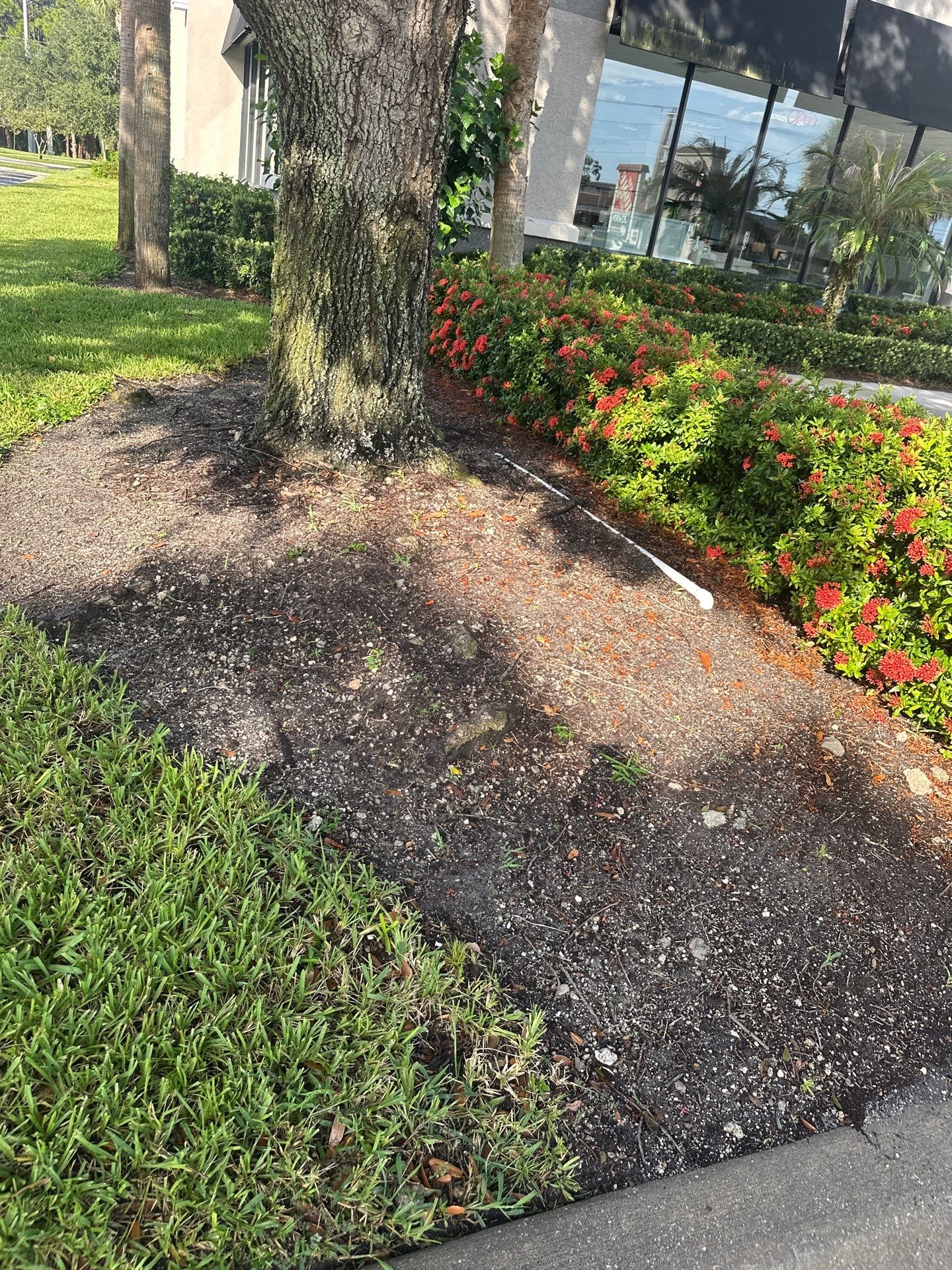 🛏️ City Mattress Refresh — Jensen Beach by Alpha Zeta Enterprises Inc